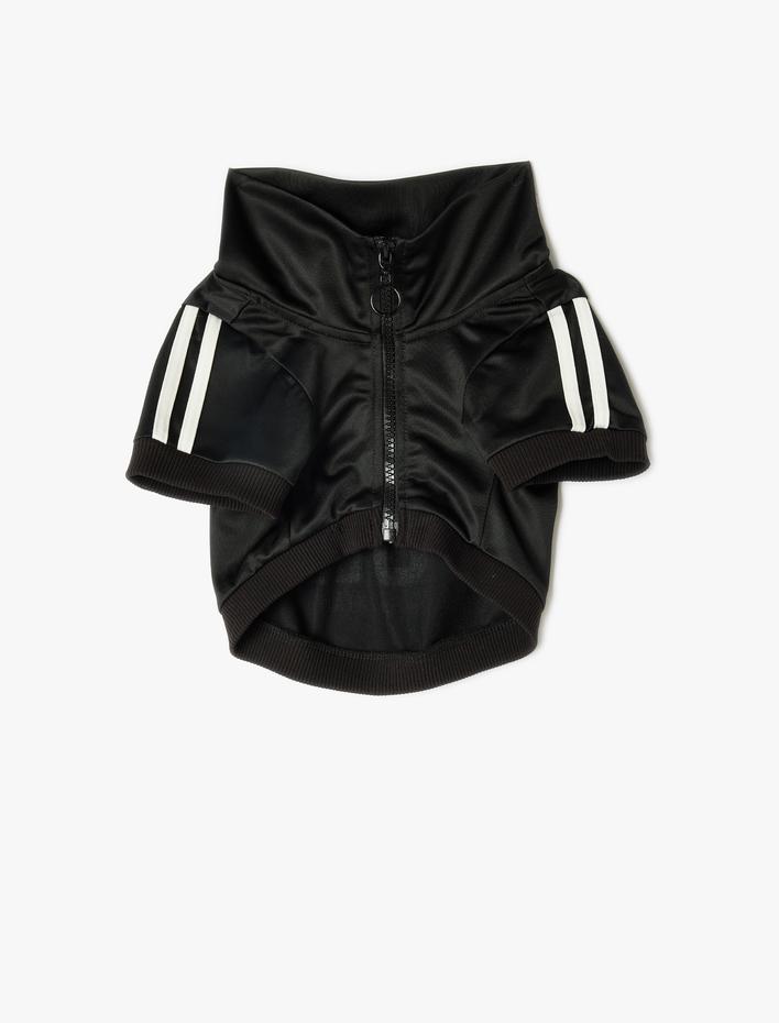  Köpek Sweatshirt Dik Yaka Biyeli Fermuarlı