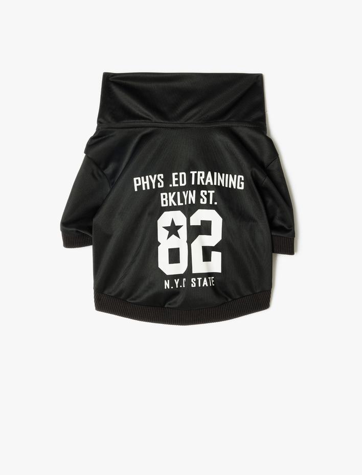  Köpek Sweatshirt Dik Yaka Biyeli Fermuarlı