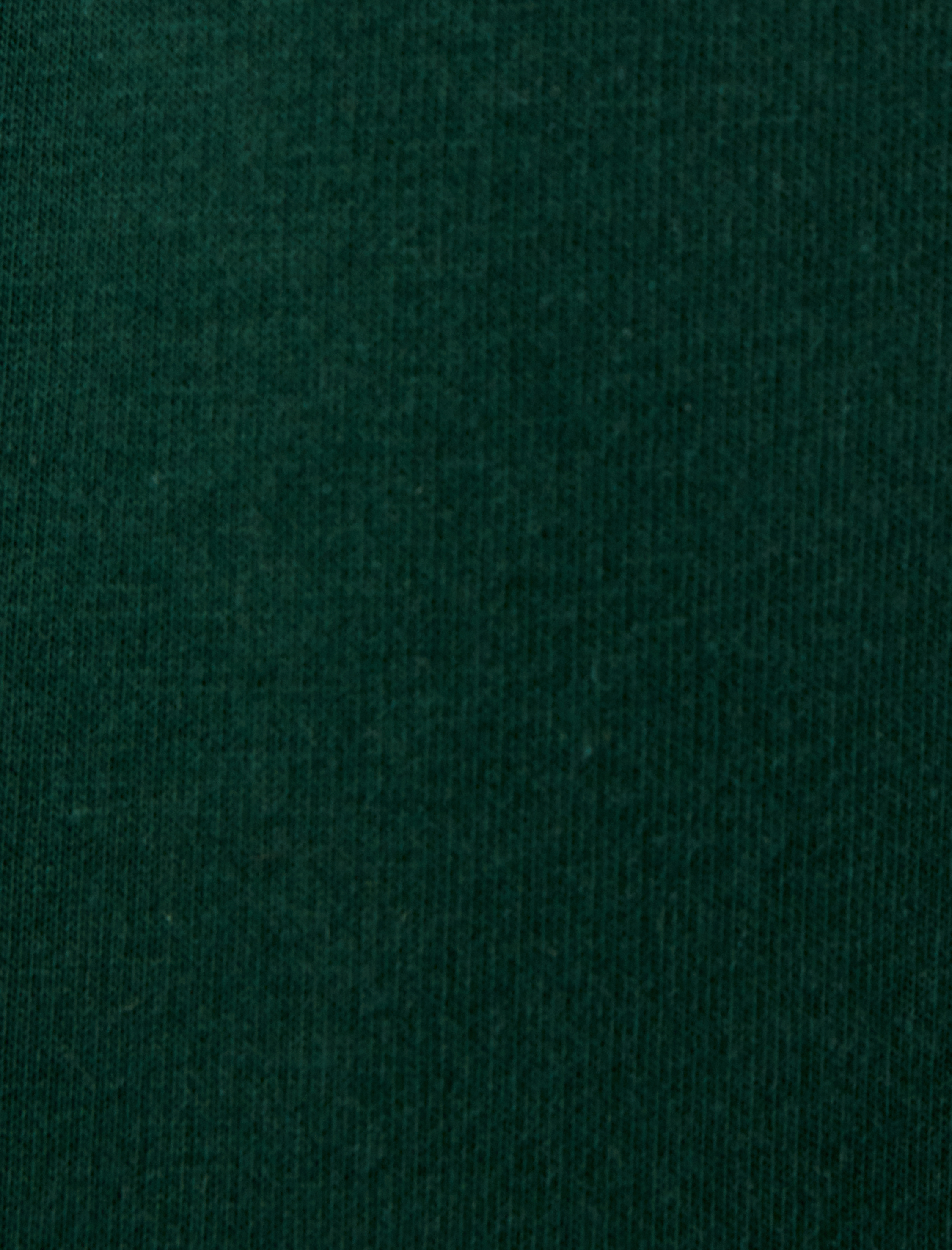   Yarım Fermuarlı Yaka Sweatshirt Slogan İşlemeli Şardonlu Pamuk Karışımlı