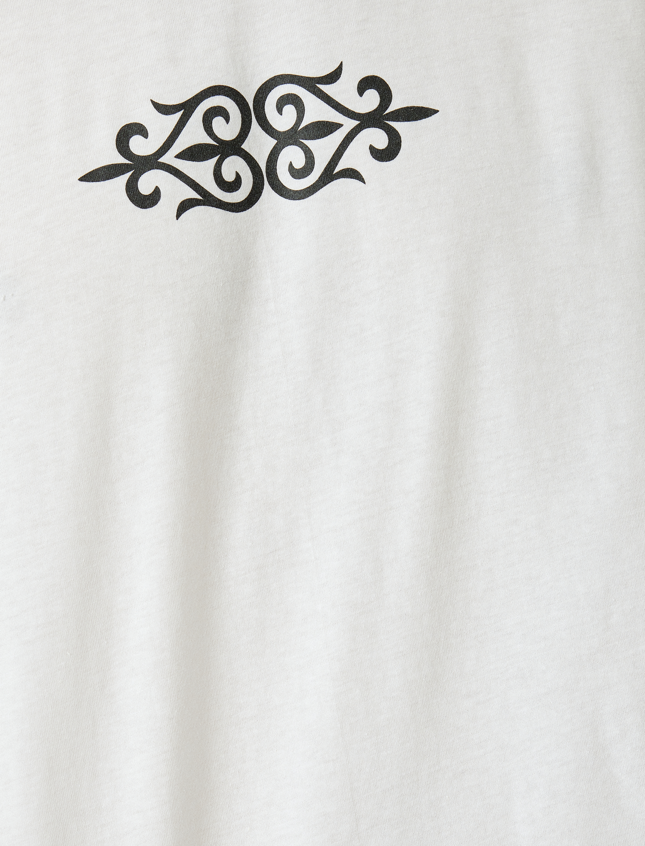   Kısa Kollu Bisiklet Yaka Pamuklu Baskılı Tişört