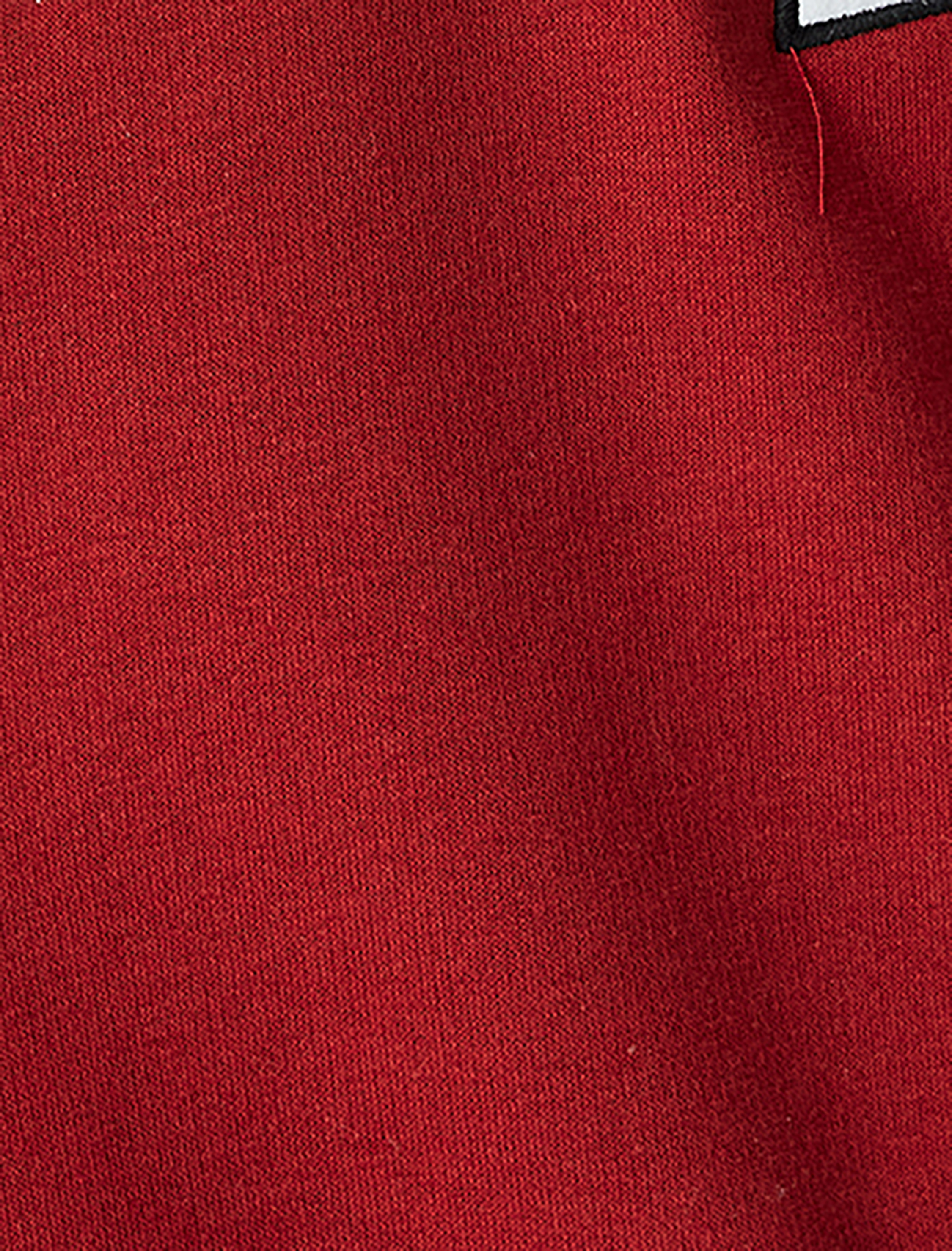  Erkek Çocuk Sweatshirt Polo Yaka İşleme Detaylı Düğmeli Uzun Kollu Şardonlu