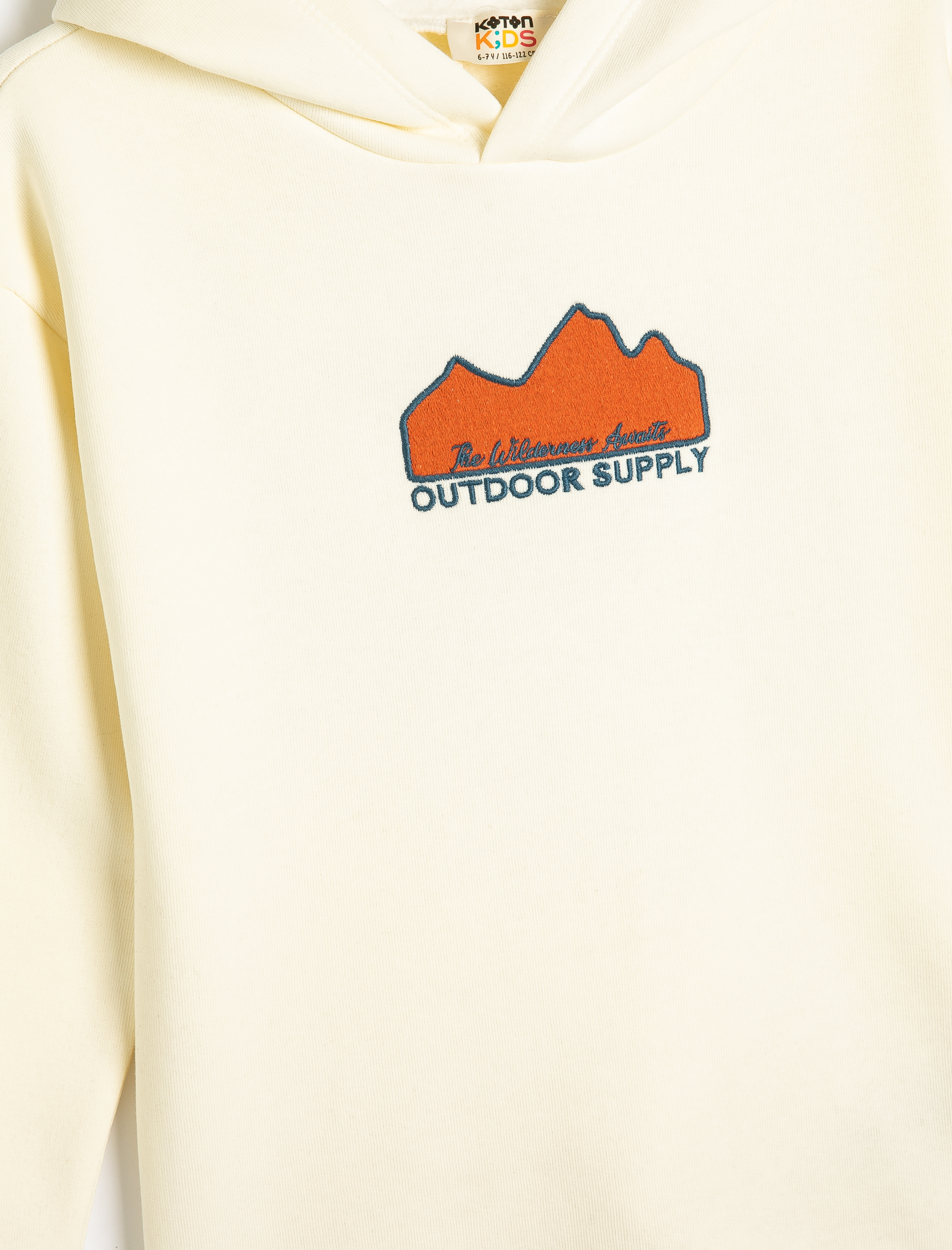  Erkek Çocuk Uzun Kollu Kapşonlu Sweatshirt Baskı Detaylı Şardonlu