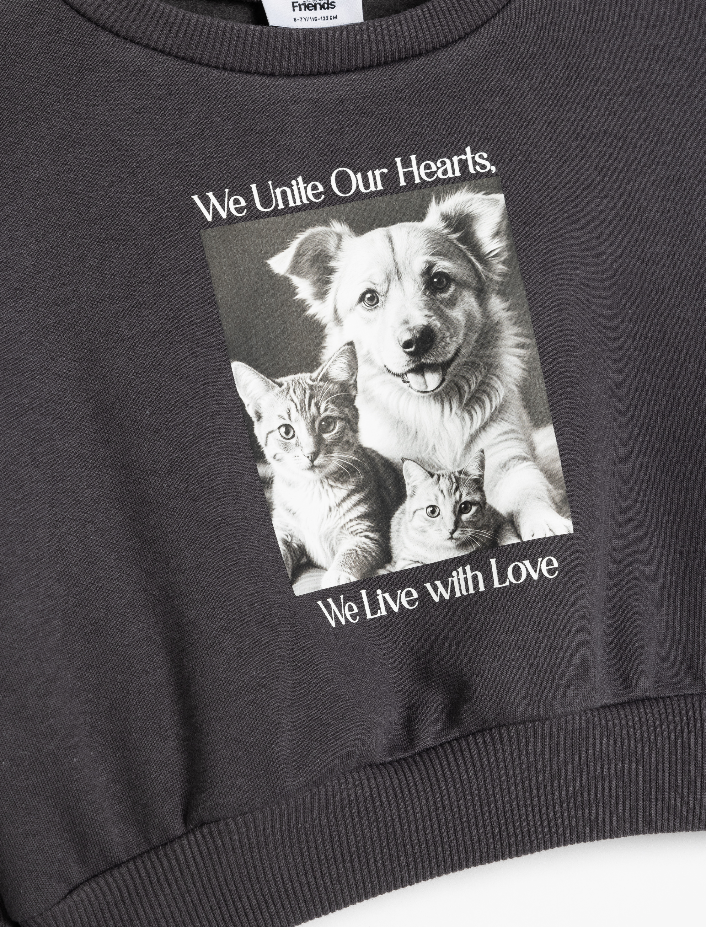  Kız Çocuk Sweatshirt Köpek Baskılı Bisiklet Yaka Uzun Kollu Şardonlu Pamuklu