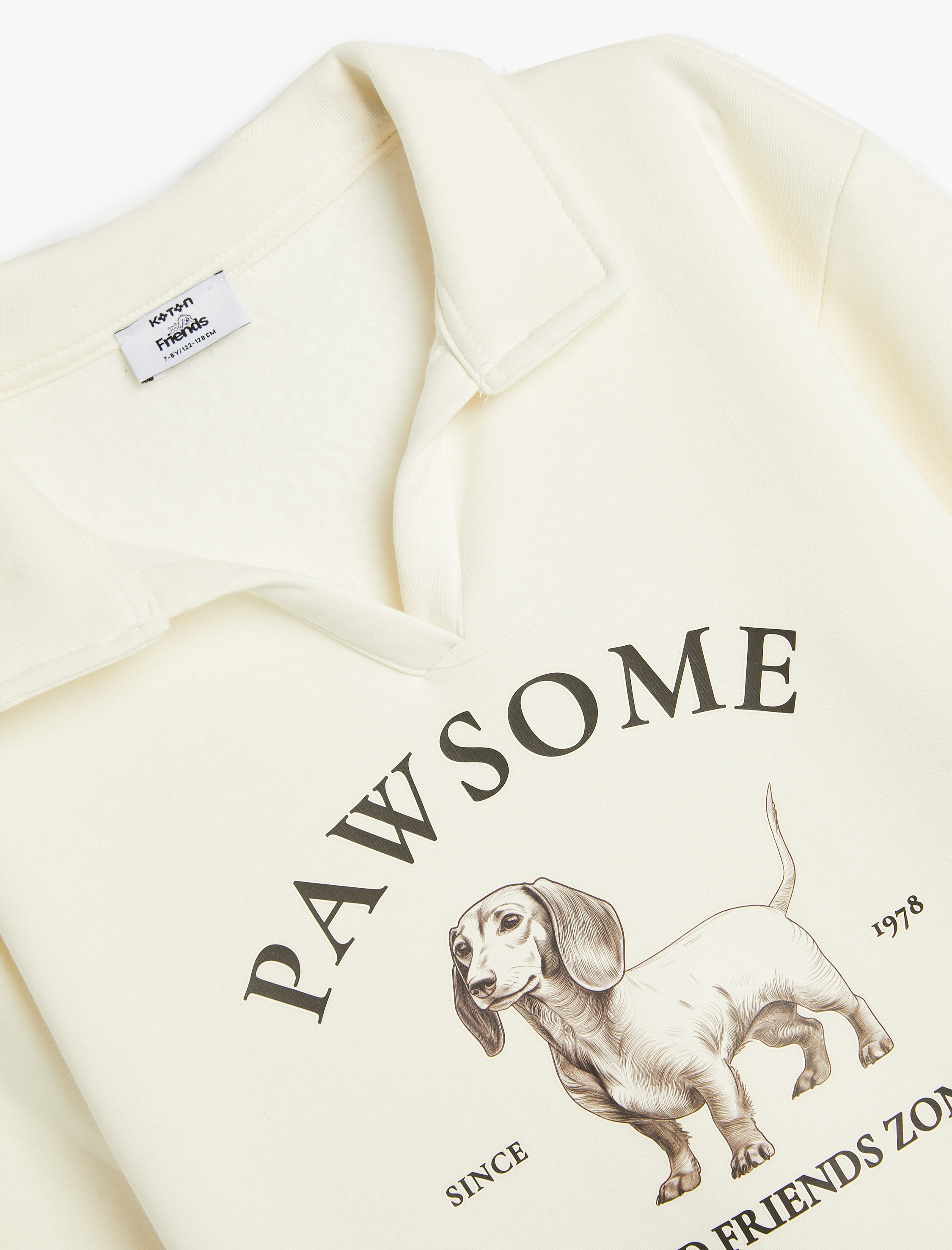  Erkek Çocuk Polo Yaka Sweatshirt Köpek Baskılı Uzun Kollu Şardonlu