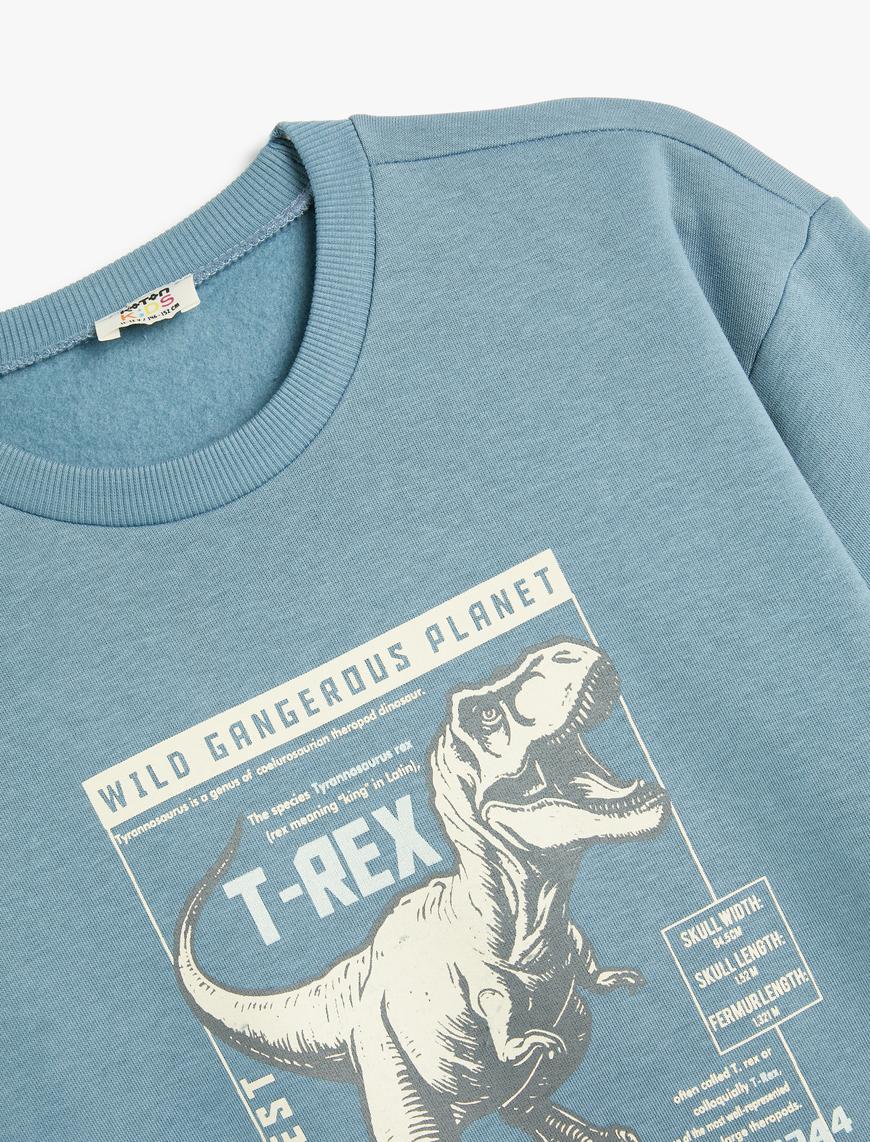  Erkek Çocuk Dinozorlu Sweatshirt Uzun Kollu Bisiklet Yaka Şardonlu