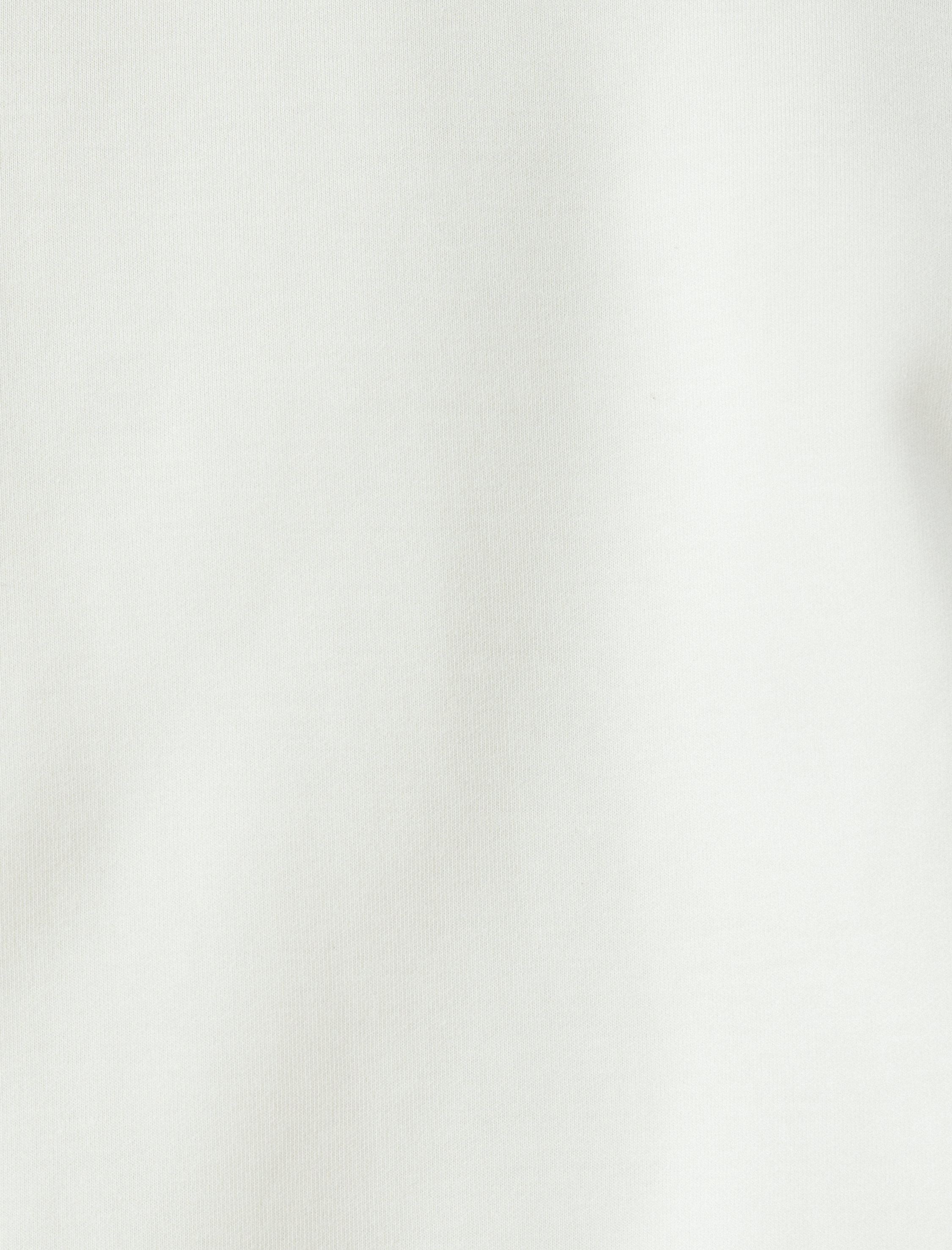   Kısa Kollu Pamuk Karışımlı Kalın Tok Kumaş Regular Fit Bisiklet Yaka Tişört