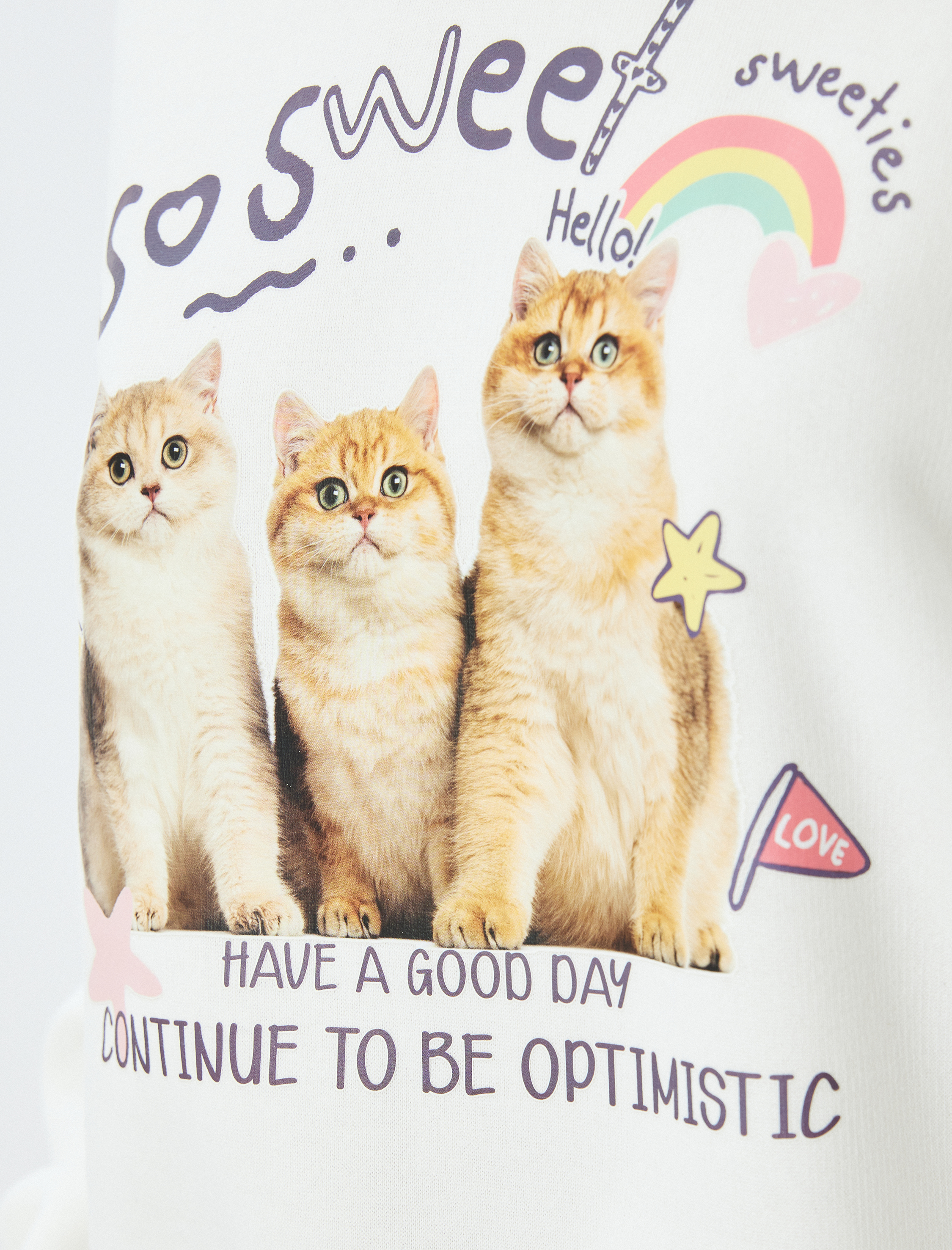   Kapüşonlu Kedi Baskılı Şardonlu Crop Sweatshirt