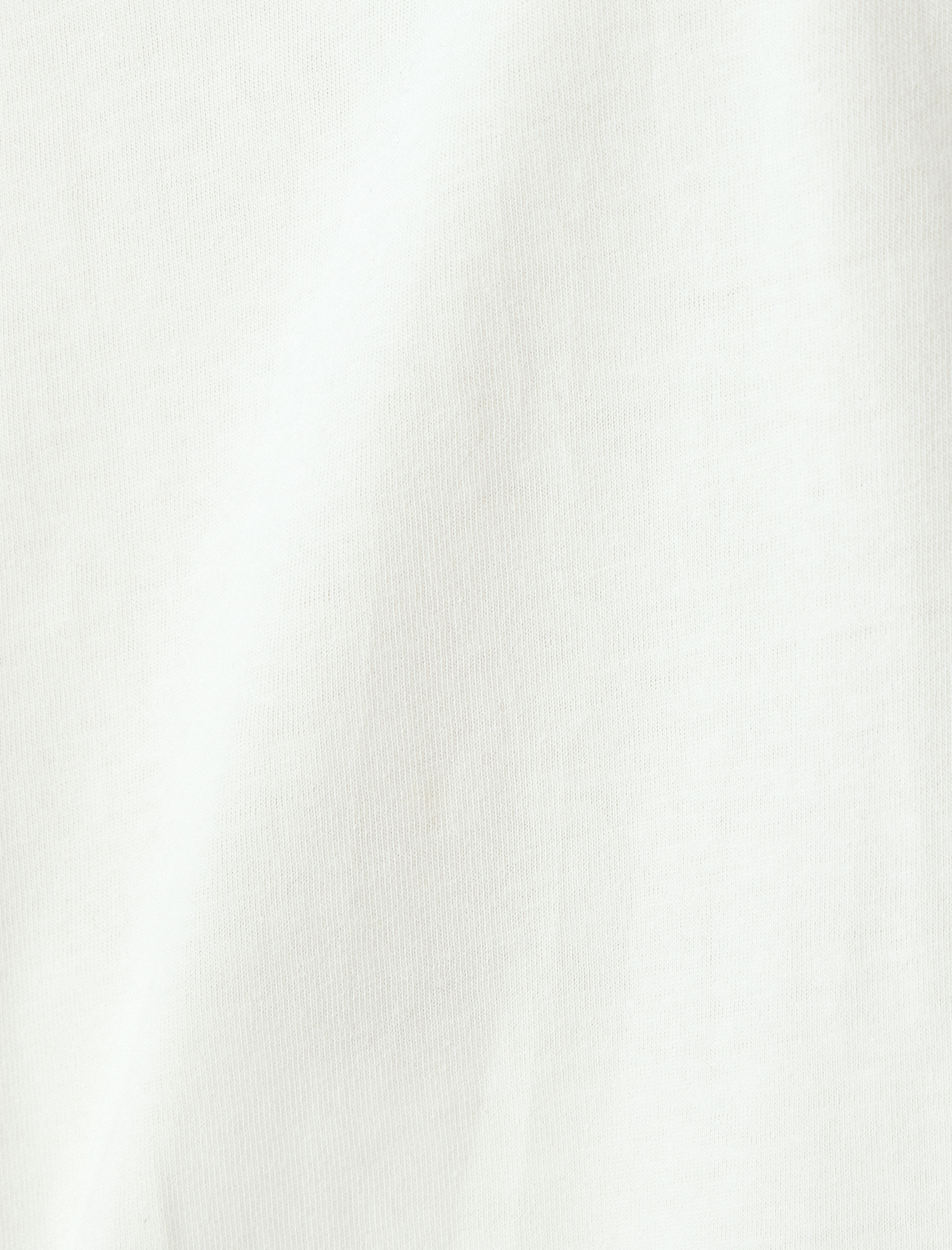   Koala Baskılı Bisiklet Yaka Rahat Kalıp Kısa Kollu Tişört