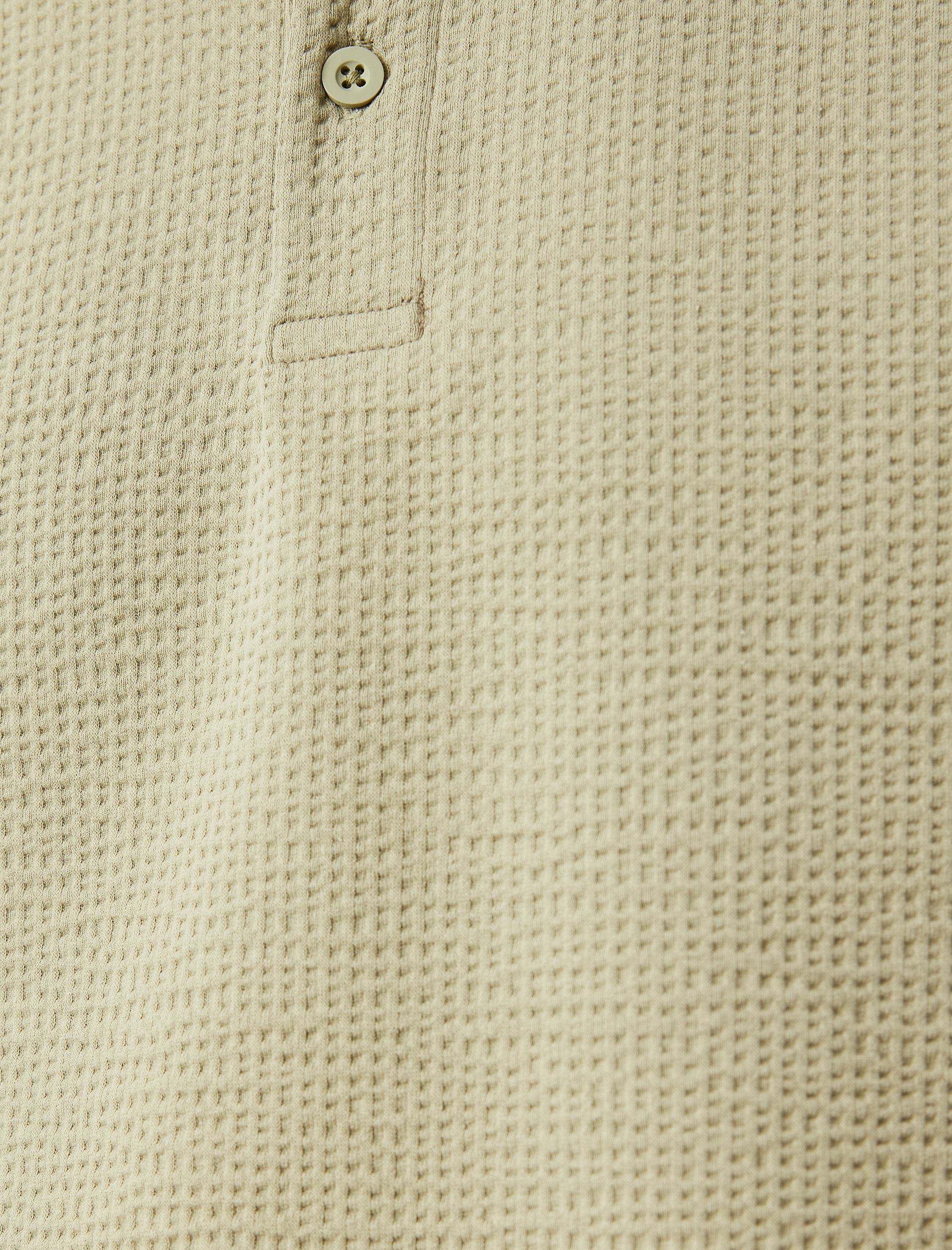   Kısa Kollu Pamuklu Regular Fit Dokulu Polo Yaka Tişört