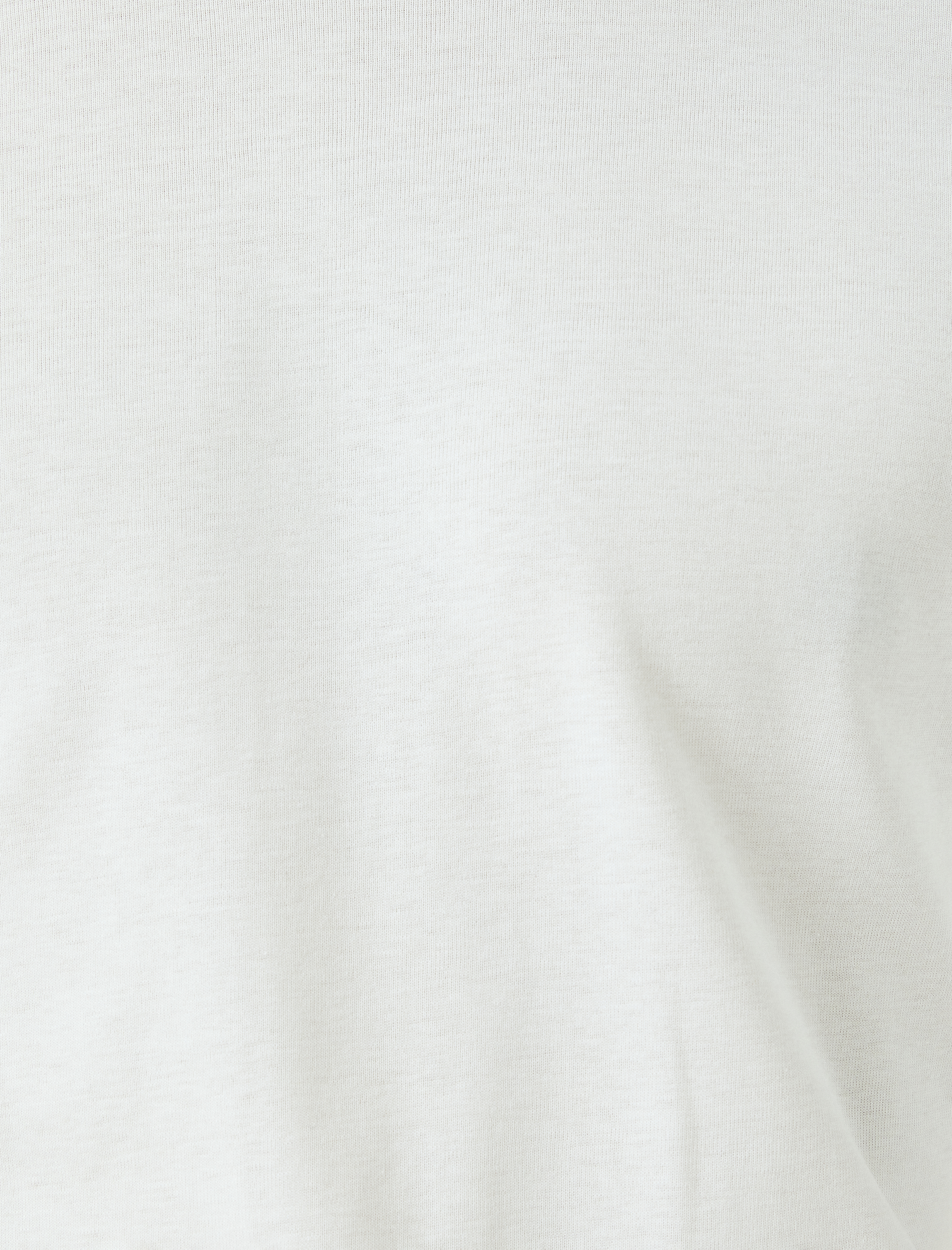   Kısa Kollu Bisiklet Yaka Pamuklu Slim Fit Tişört