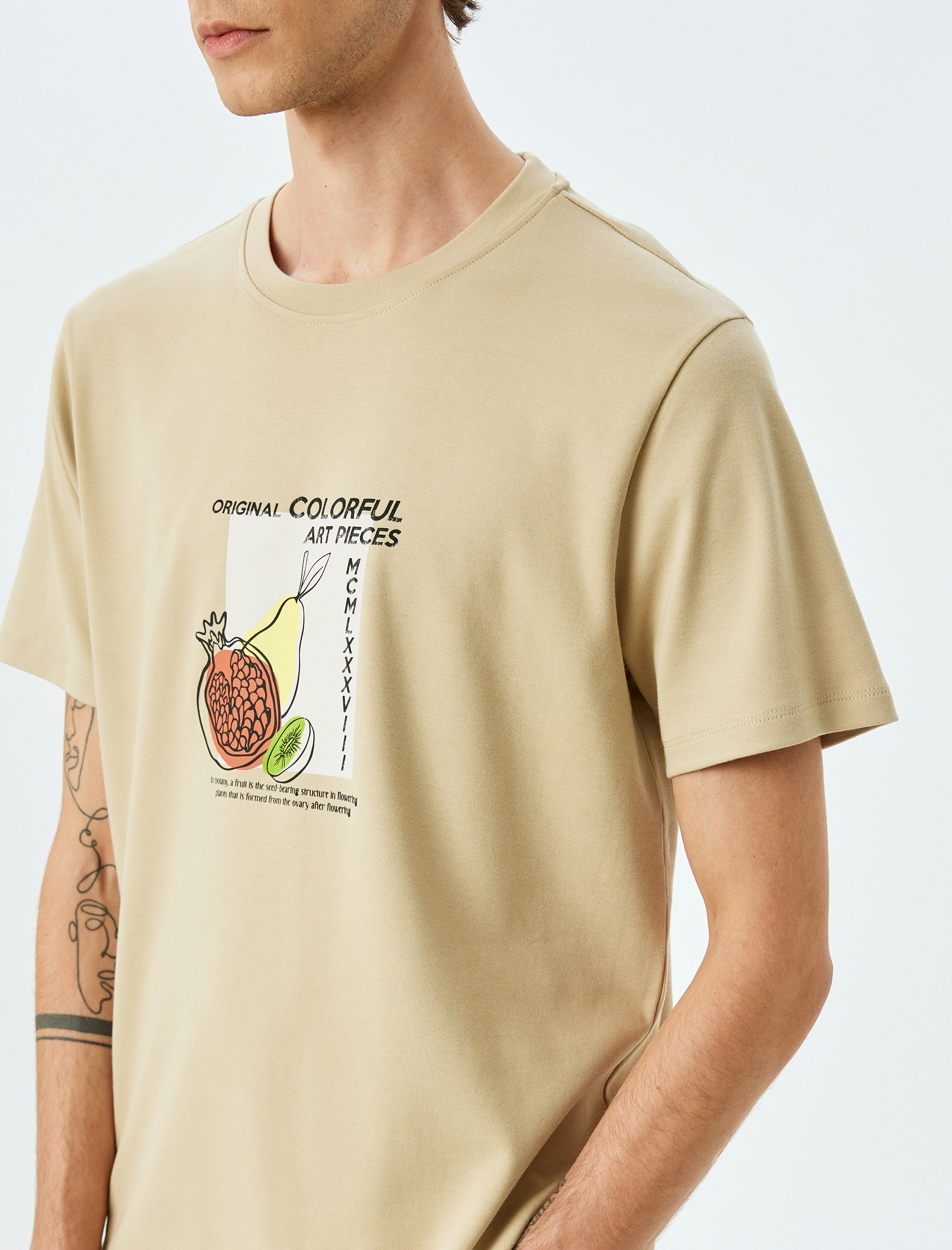   Bisiklet Yaka Pamuklu Regular Fit Tok Kumaş Kısa Kollu Baskılı Tişört