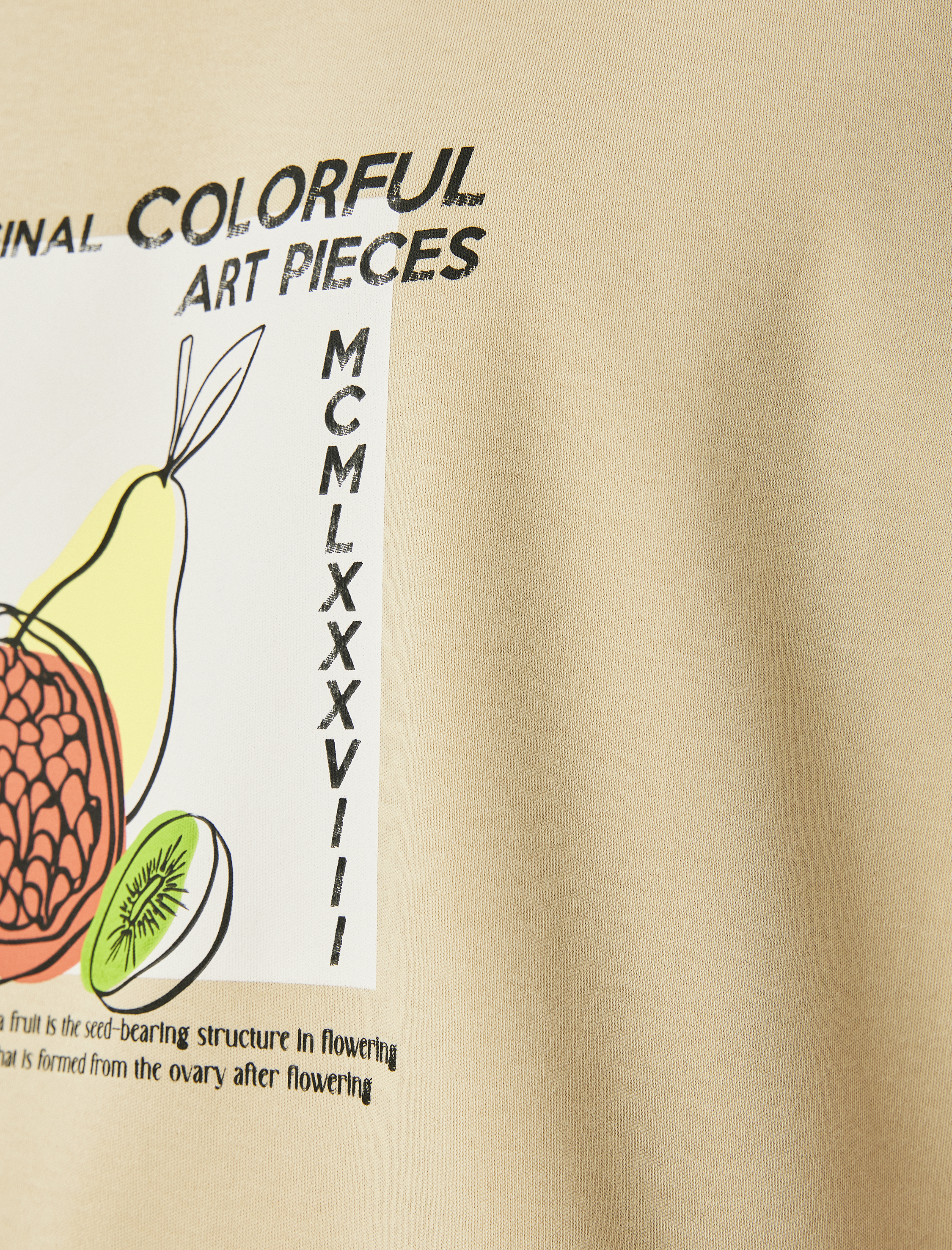   Bisiklet Yaka Pamuklu Regular Fit Tok Kumaş Kısa Kollu Baskılı Tişört