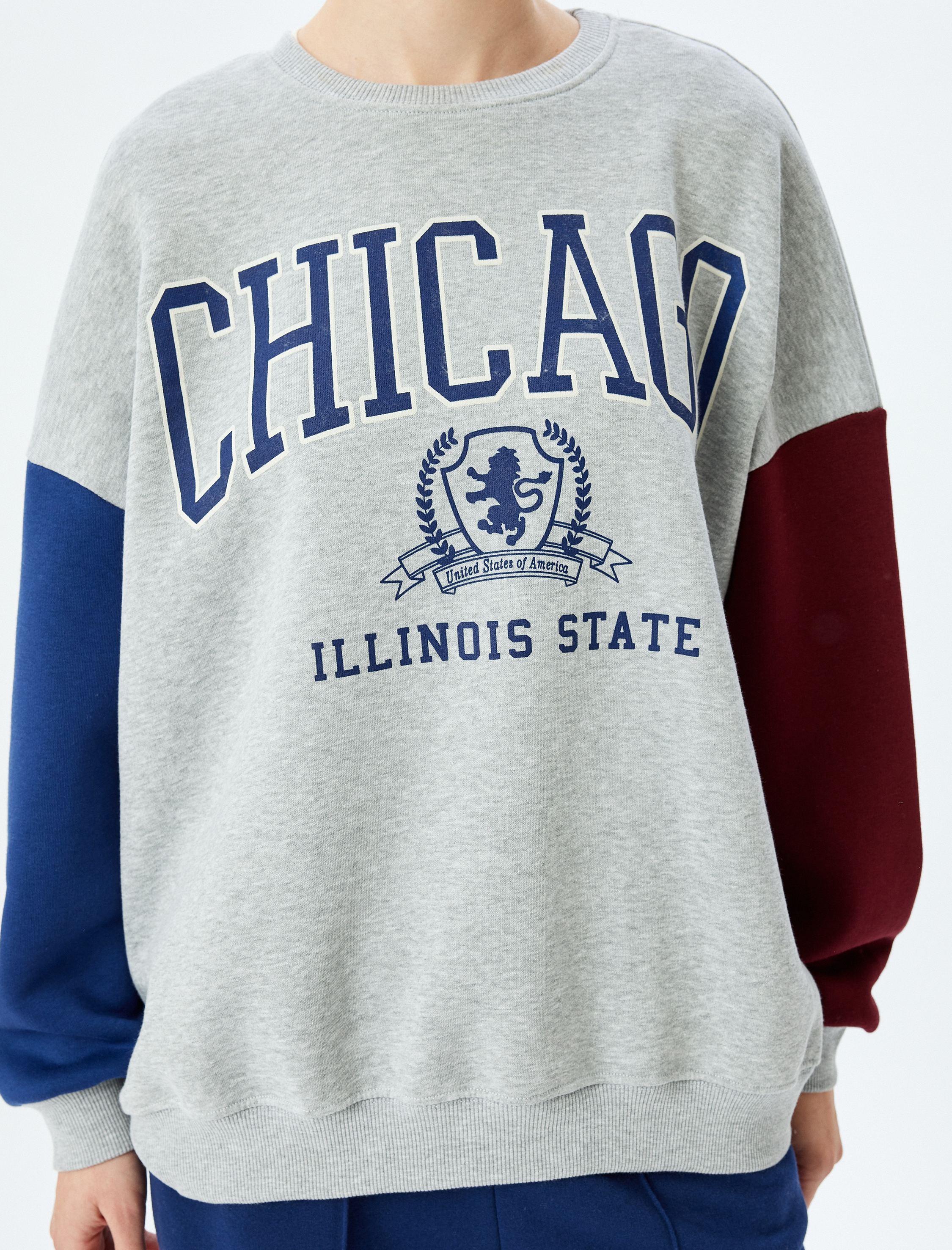   Üç İplik Şardonlu Renk Bloklu Uzun Kollu Bisiklet Yaka Baskılı Oversize Sweatshirt