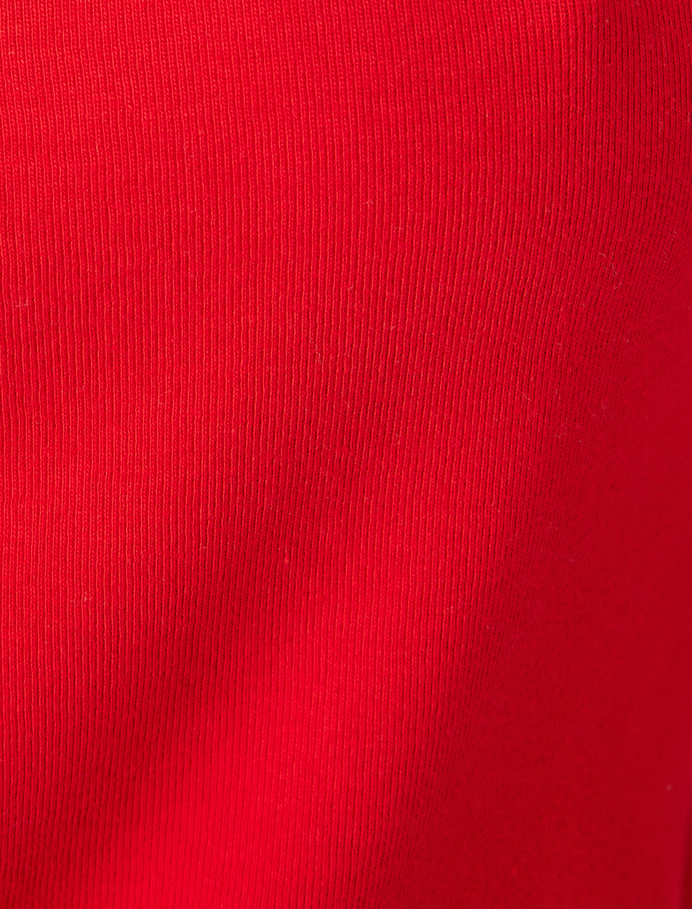   Polo Yaka Düğmeli Kolej Baskılı Biyeli Kısa Kollu Tişört