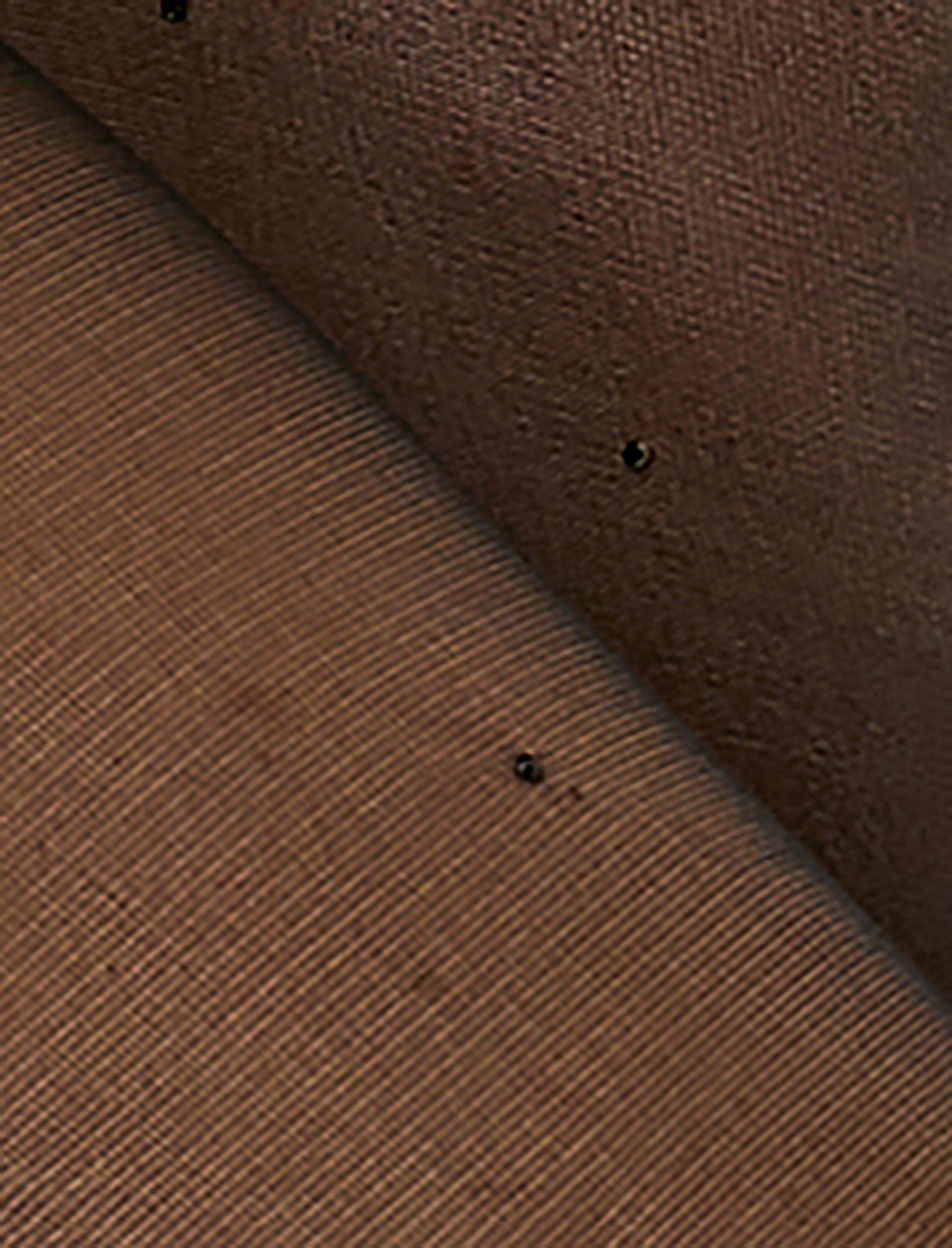  Kadın Puantiyeli Külotlu Çorap 20 Den