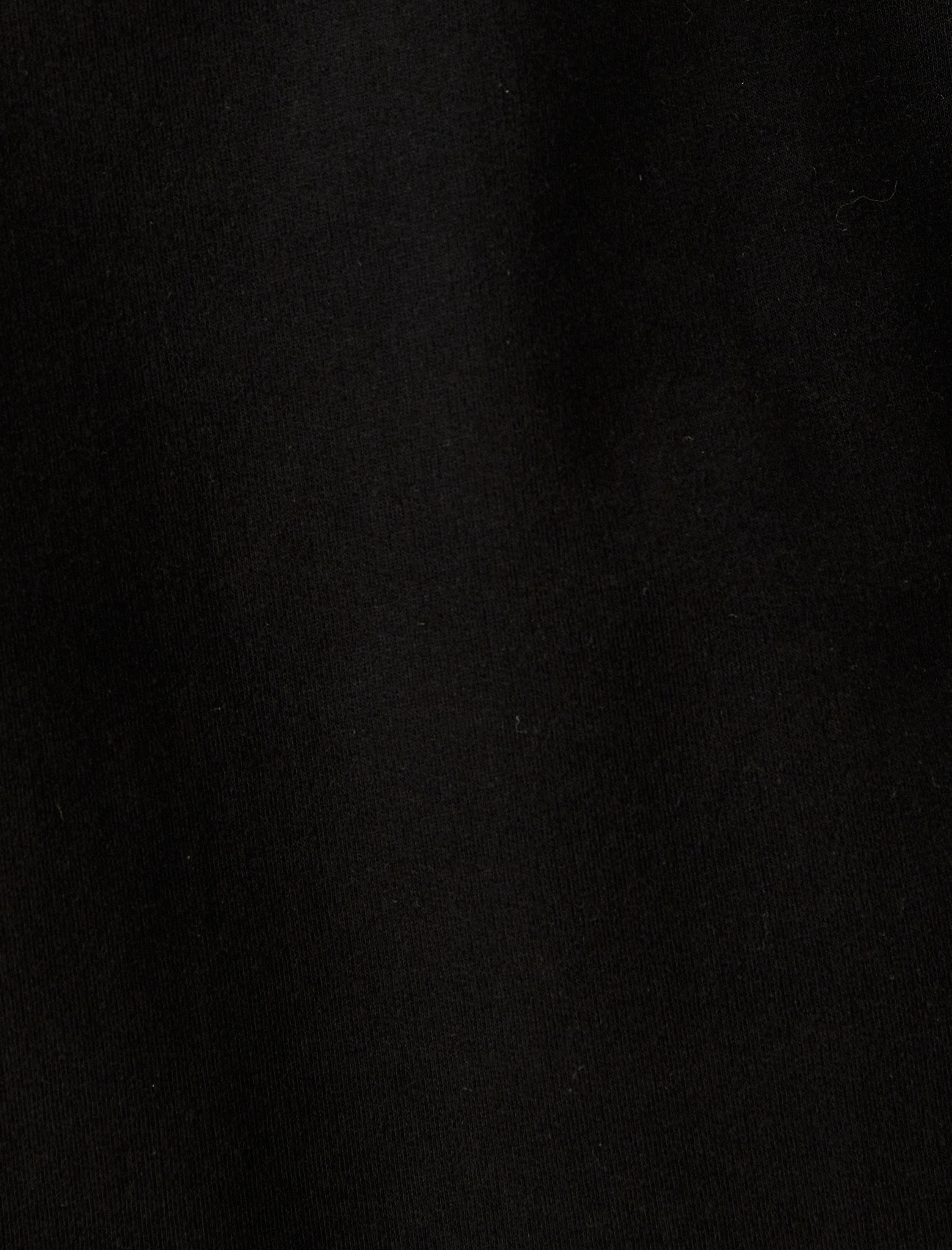   Kısa Kollu Regular Fit Bisiklet Yaka Tişört