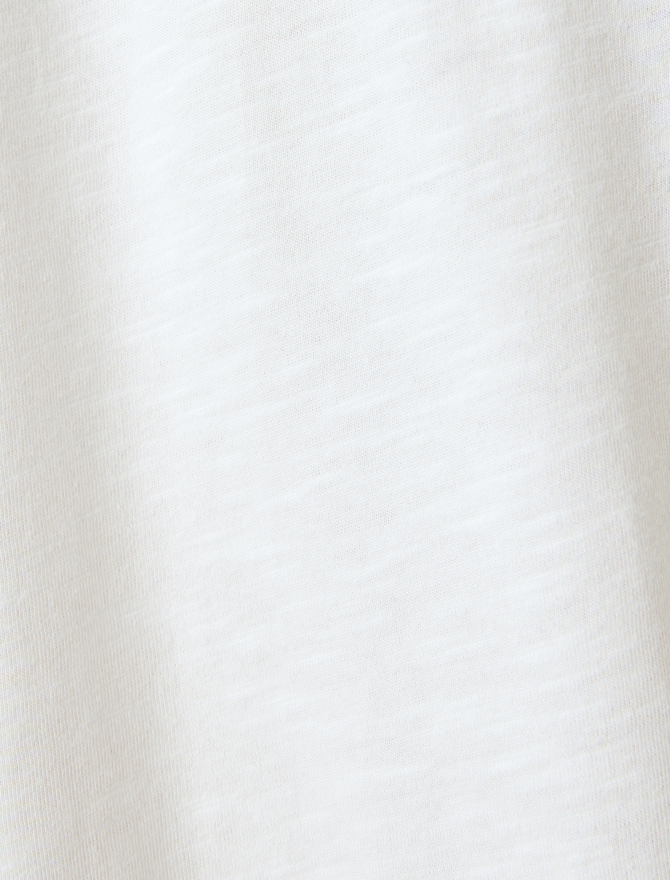   Kısa Kollu Bisiklet Yaka Regular Fit Pamuklu Baskılı Tişört