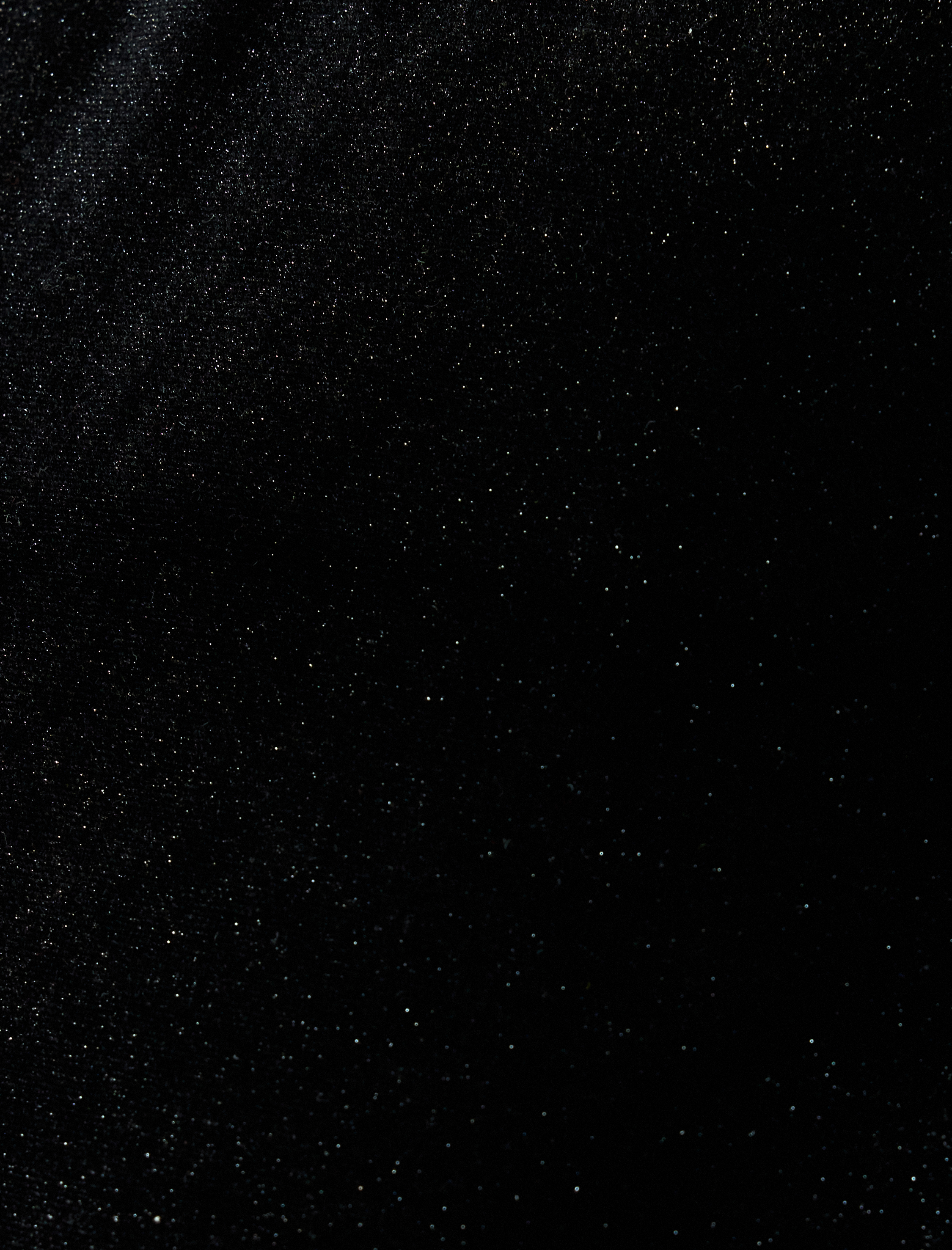   Slim Fit Kolsuz Dik Yaka Taşlı Kadife Üst