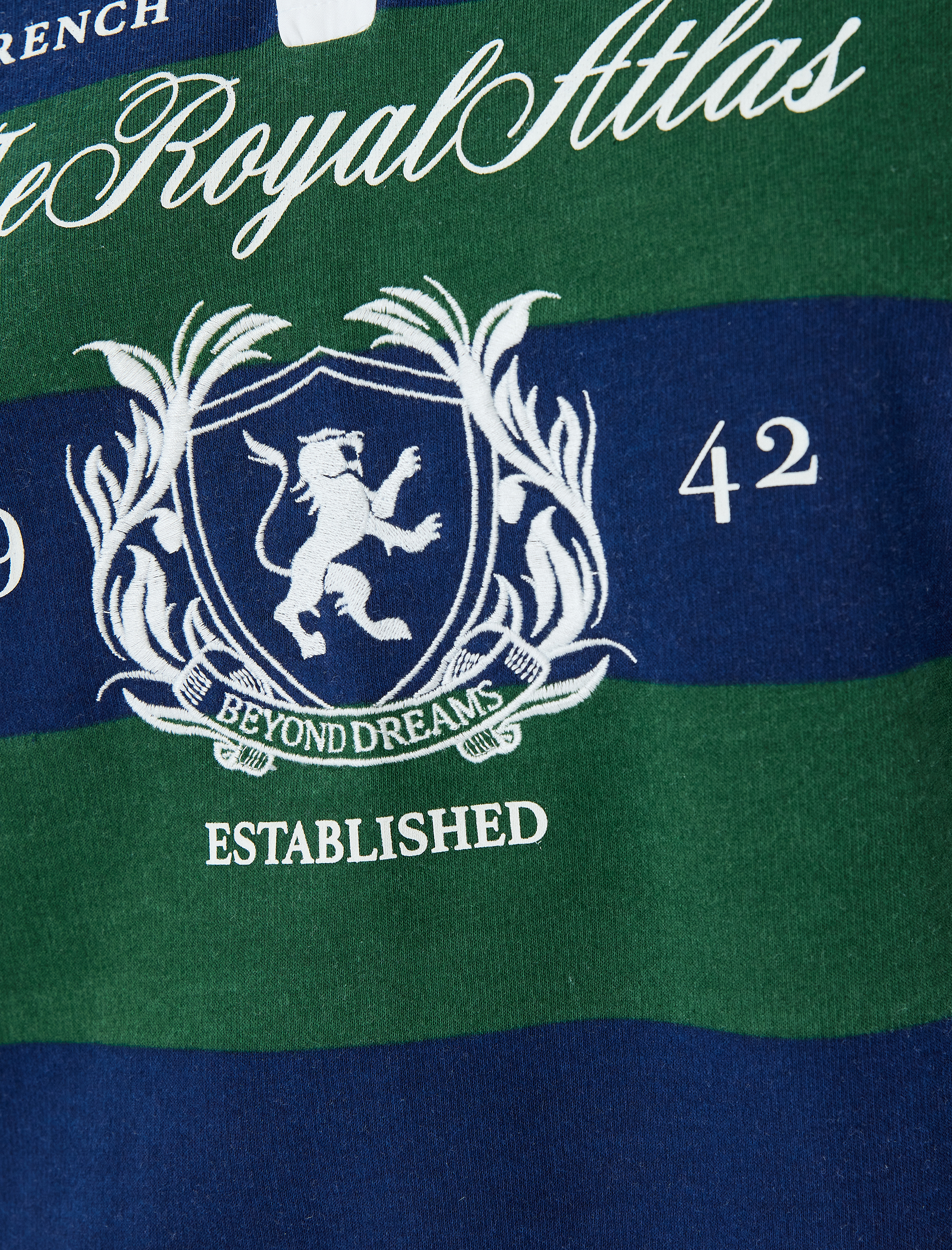   Kolej Baskılı Polo Yaka Renk Bloklu Şardonlu Sweatshirt