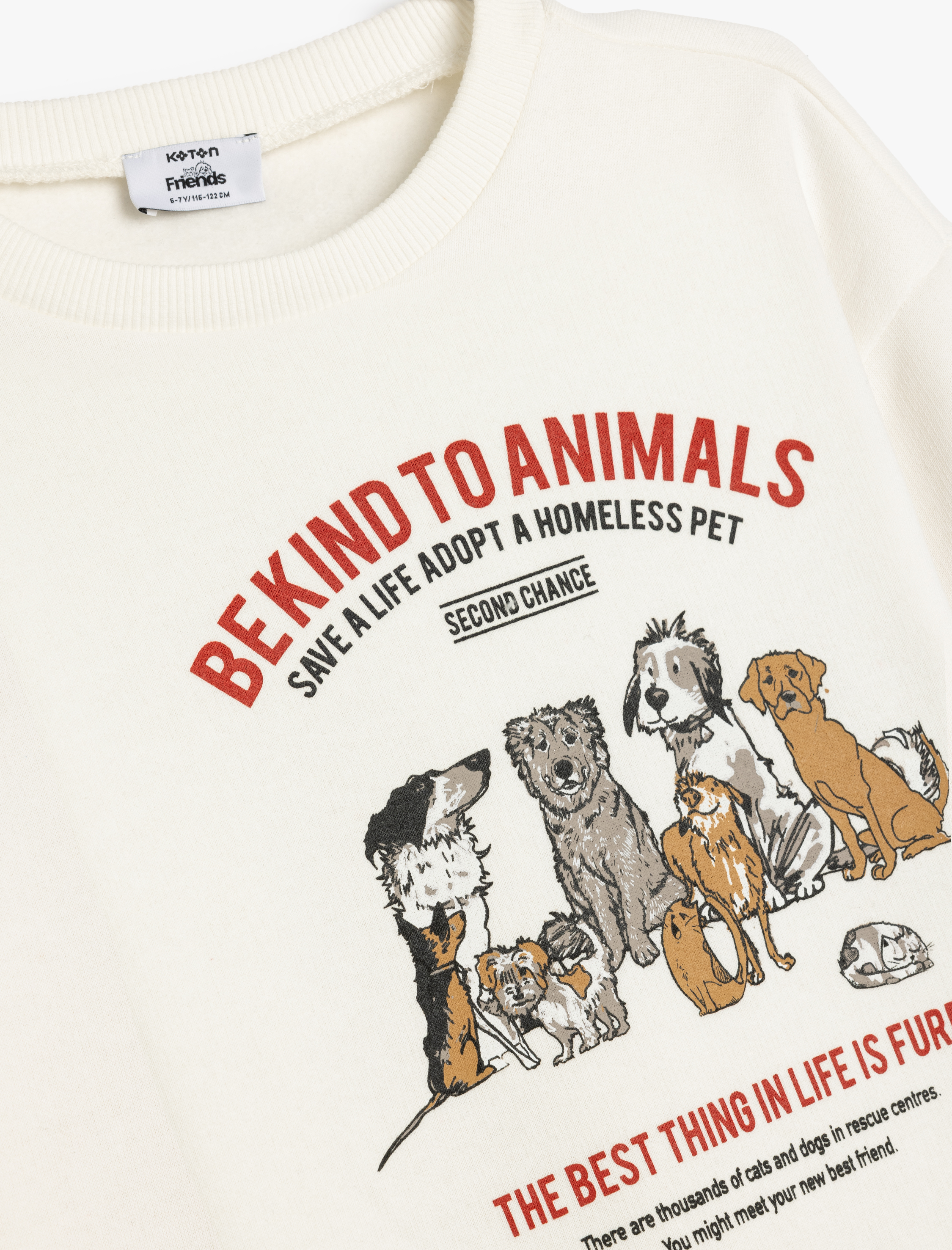  Erkek Çocuk Oversize Sweatshirt Hayvanlar Baskılı Uzun Kollu Bisiklet Yaka Şardonlu