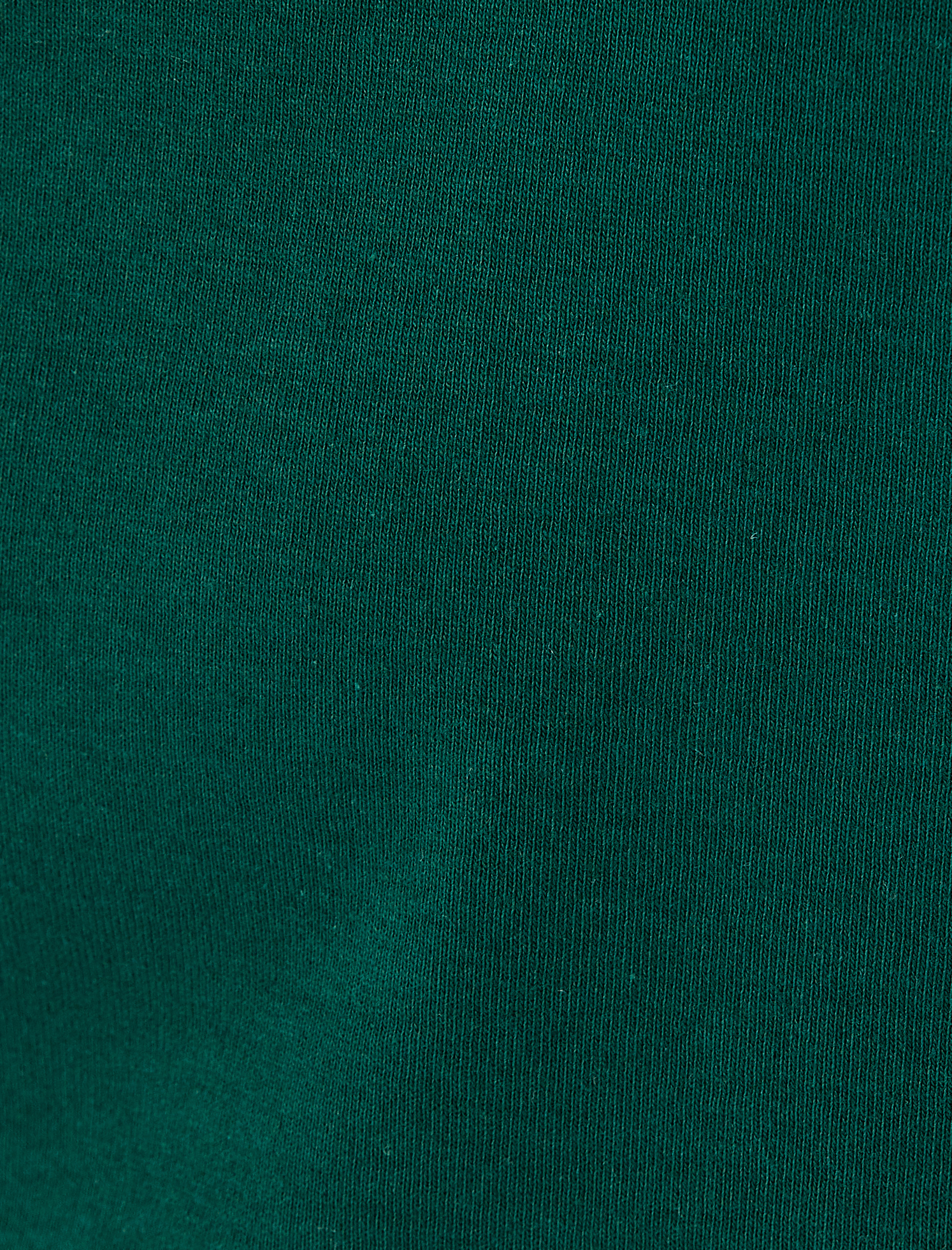   Slogan Baskılı Bisiklet Yaka Kısa Kollu Biyeli Slim Fit Tişört