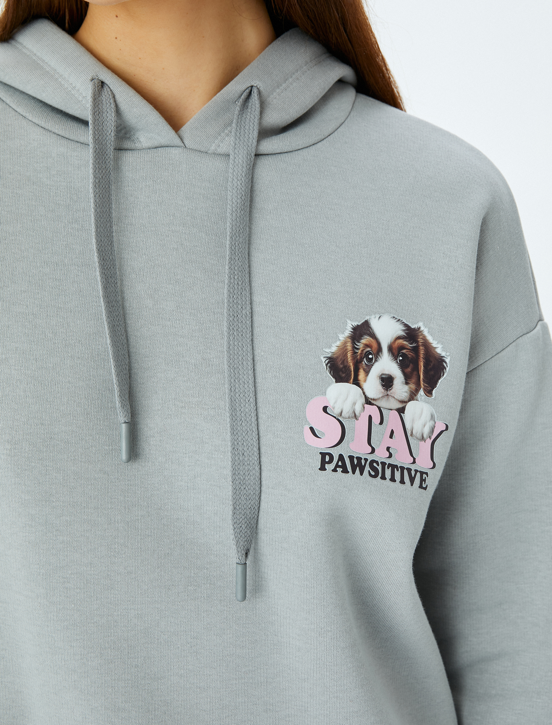 Şardonlu Kapüşonlu Köpek Temalı Arkası Baskılı Oversize Sweatshirt