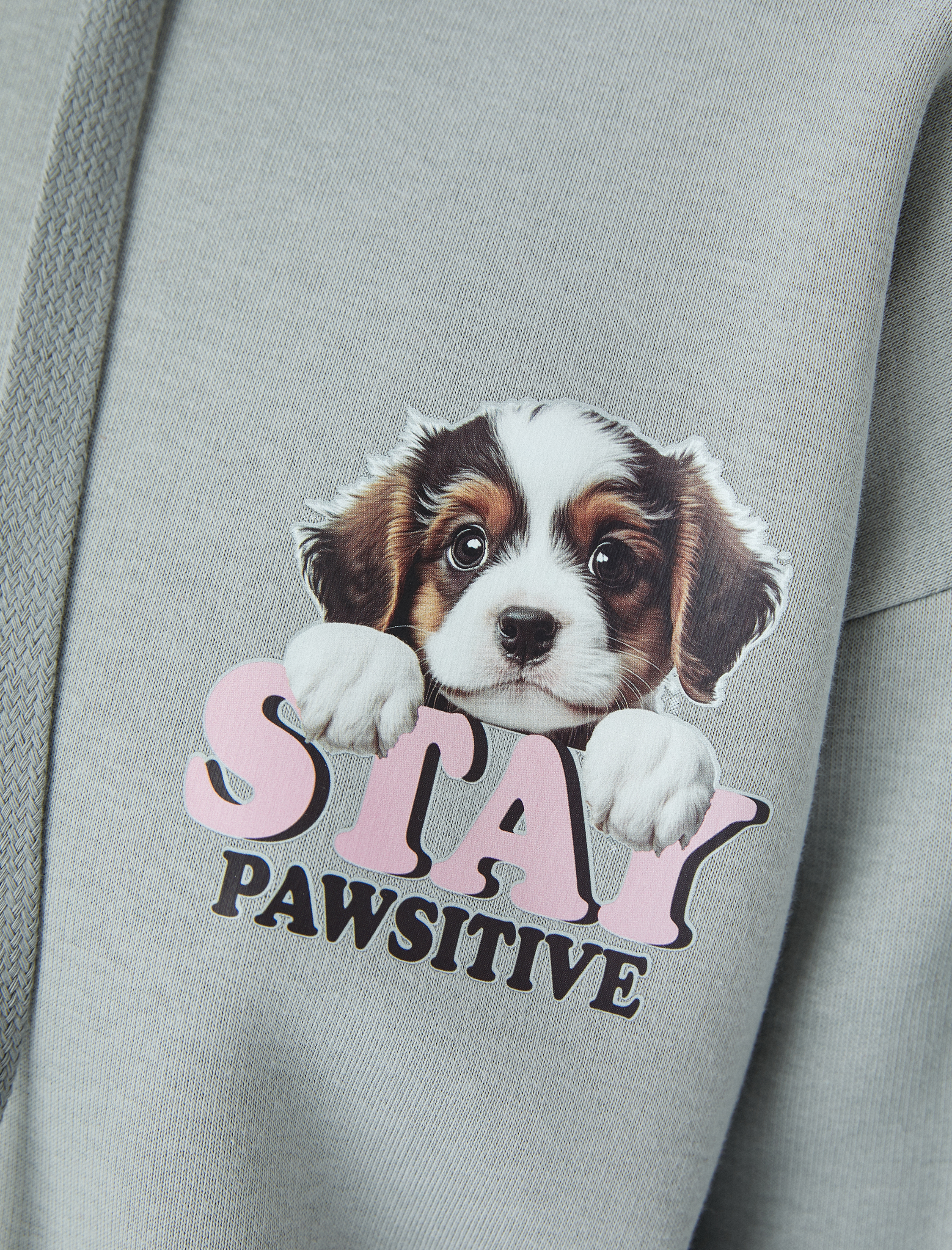 Şardonlu Kapüşonlu Köpek Temalı Arkası Baskılı Oversize Sweatshirt