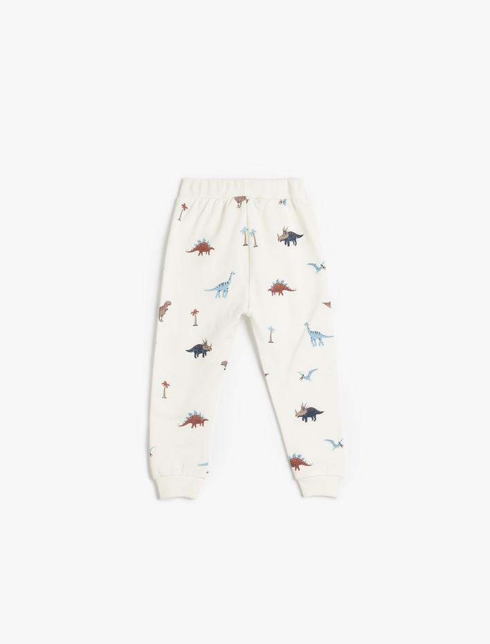 Erkek Bebek Dinozor Baskılı Şardonlu Pamuklu Eşofman Altı