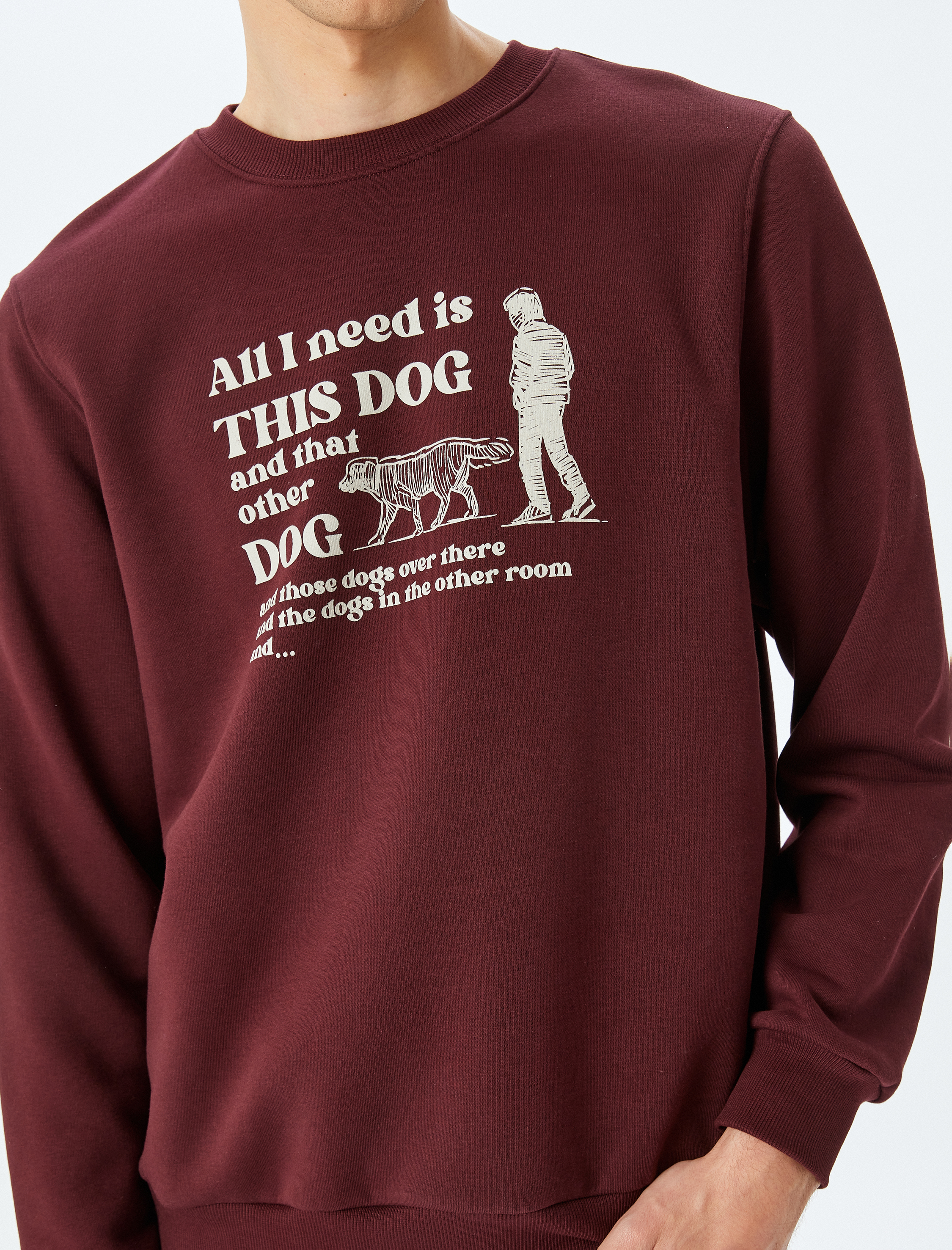   Şardonlu Pamuk Karışımlı Bisiklet Yaka Slogan Baskılı Sweatshirt