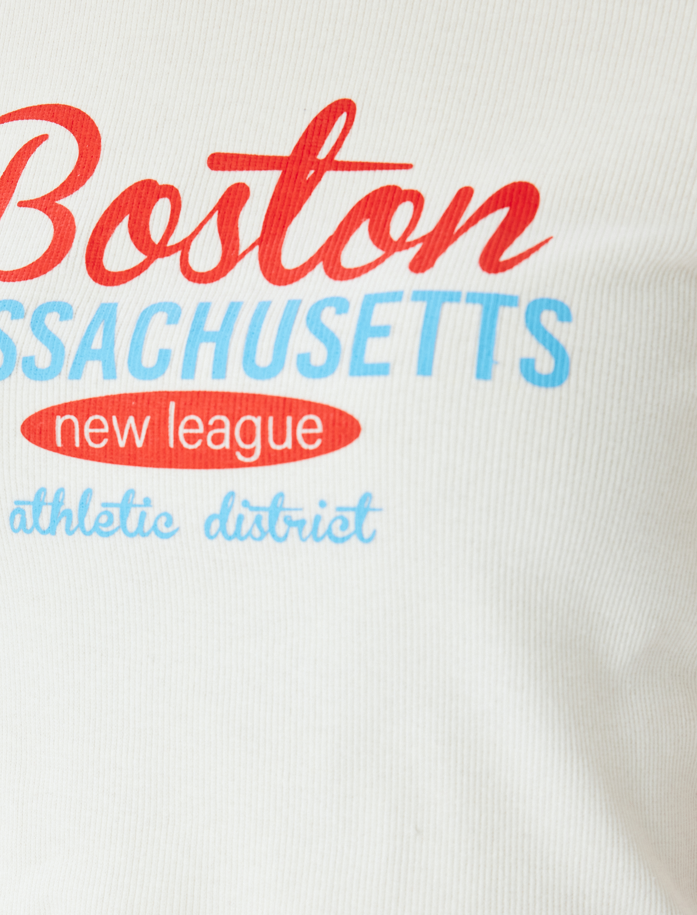   Baskılı Kısa Kollu Bisiklet Yaka Slim Fit Crop Kaşkorse Tişört