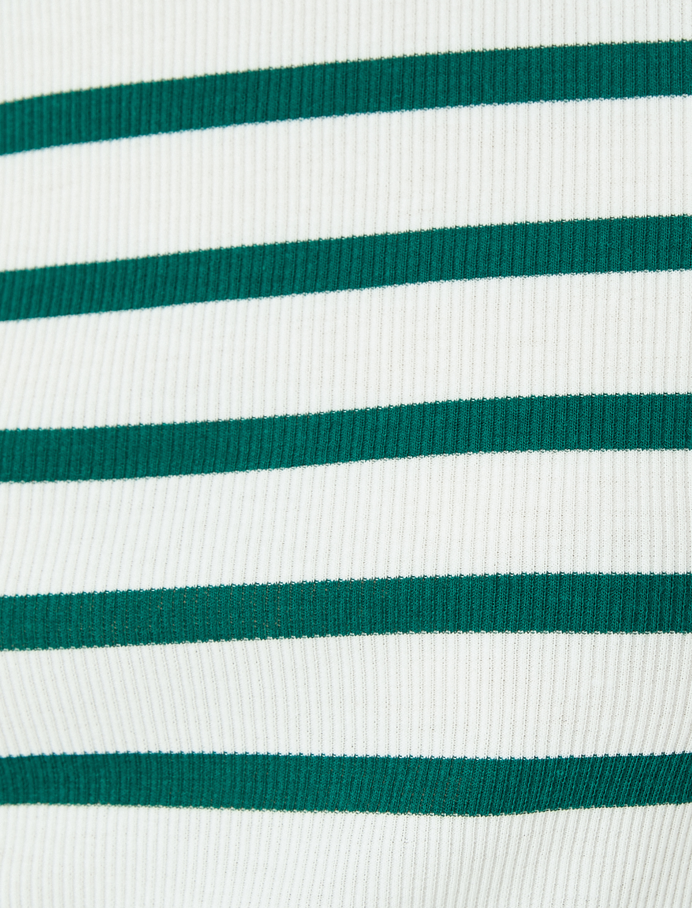   Basic Çizgili Bisiklet Yaka Kısa Kollu Kaşkorse Slim Fit Kadın Tişört