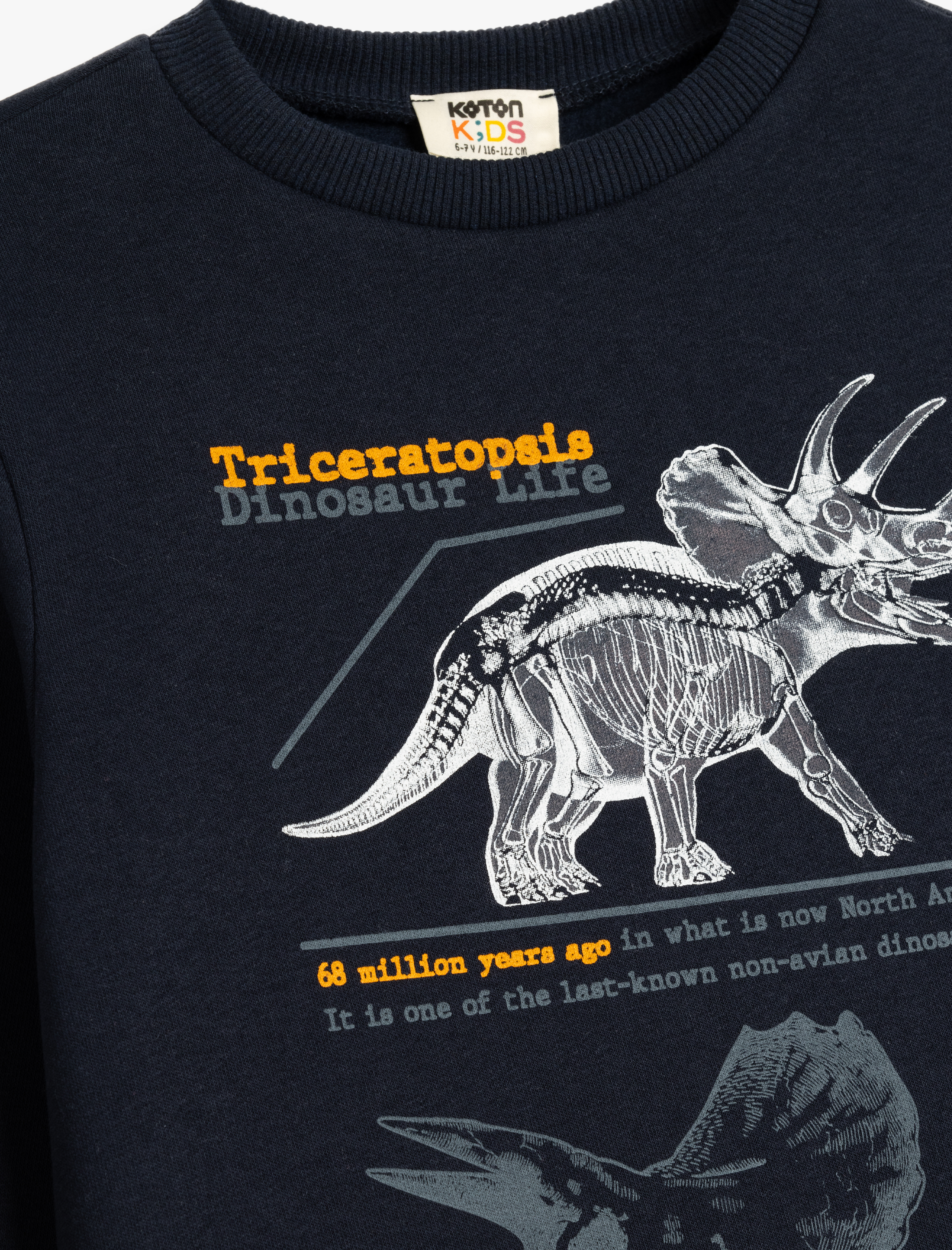  Erkek Çocuk Sweatshirt Dinozor Baskılı Bisiklet Yaka Uzun Kollu Şardonlu