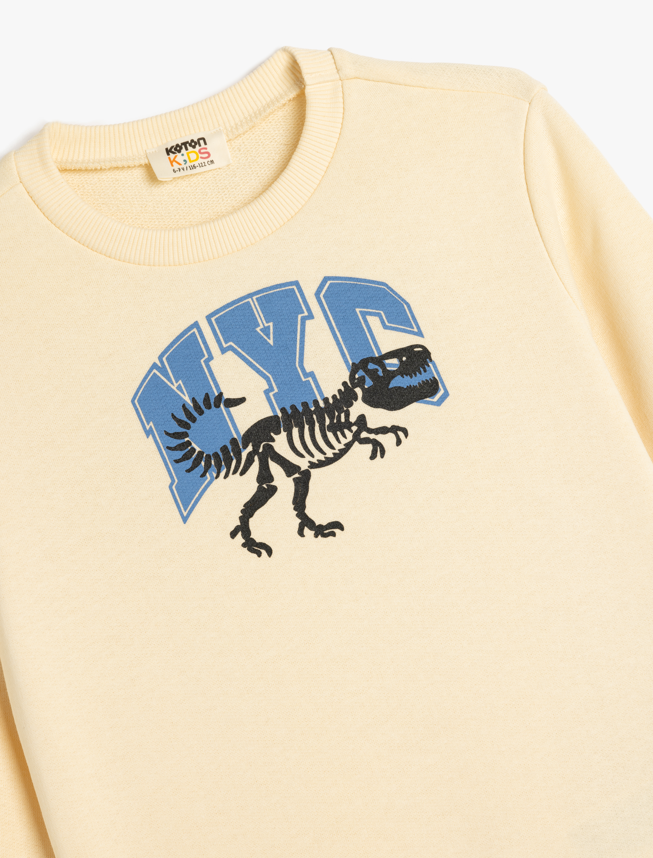  Erkek Çocuk Sweatshirt Dinozor Baskılı Bisiklet Yaka Uzun Kollu Şardonlu