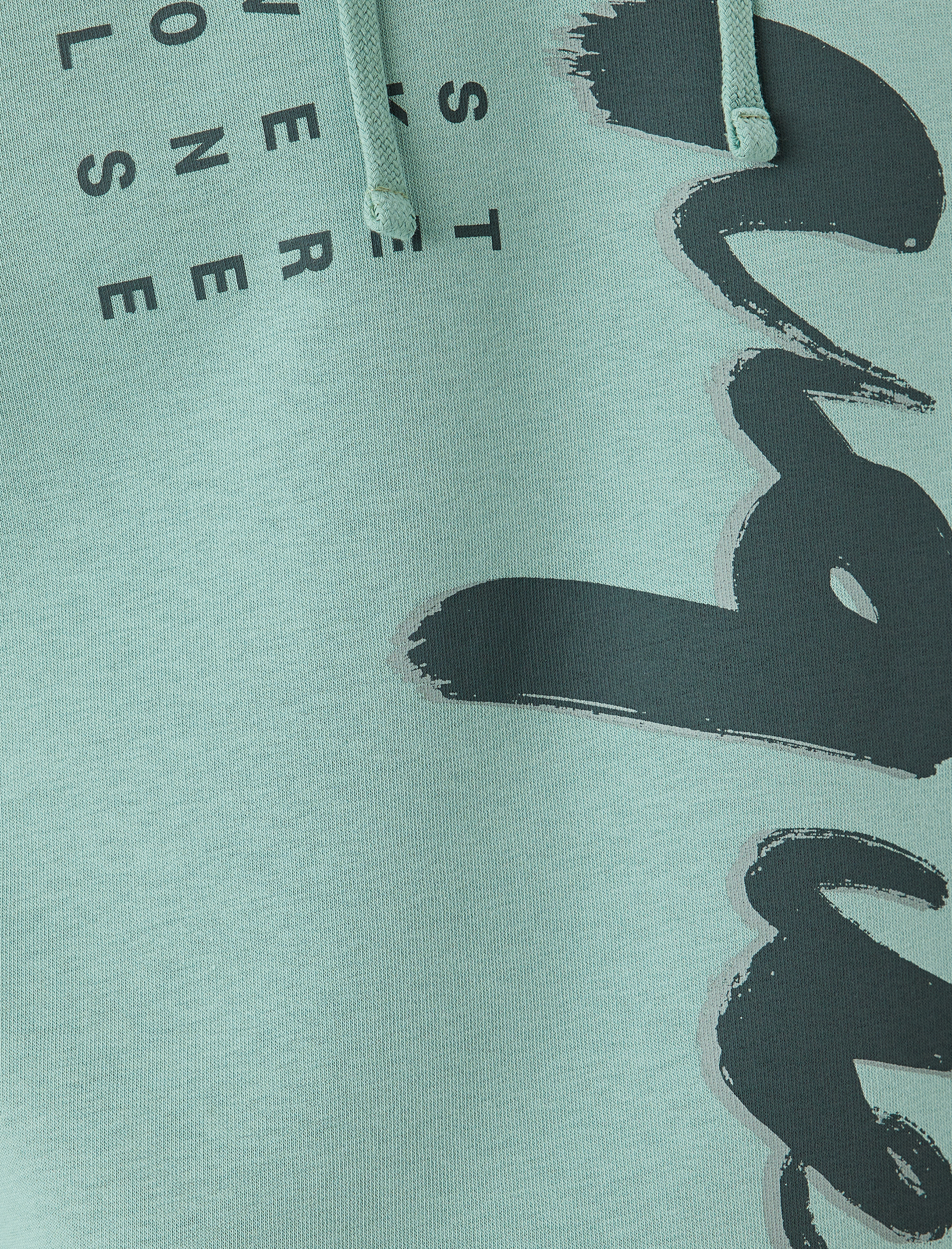   Uzun Kollu Pamuk Karışımlı Şardonlu Kapşonlu Baskılı Sweatshirt