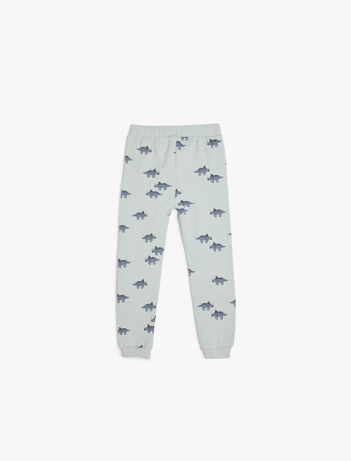 Erkek Bebek Dinozor Baskılı Beli Bağcıklı Pamuklu Şardonlu Jogger Eşofman Altı