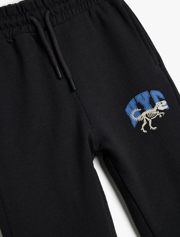 Erkek Çocuk Baskı Detaylı Şardonlu Jogger Eşofman Altı