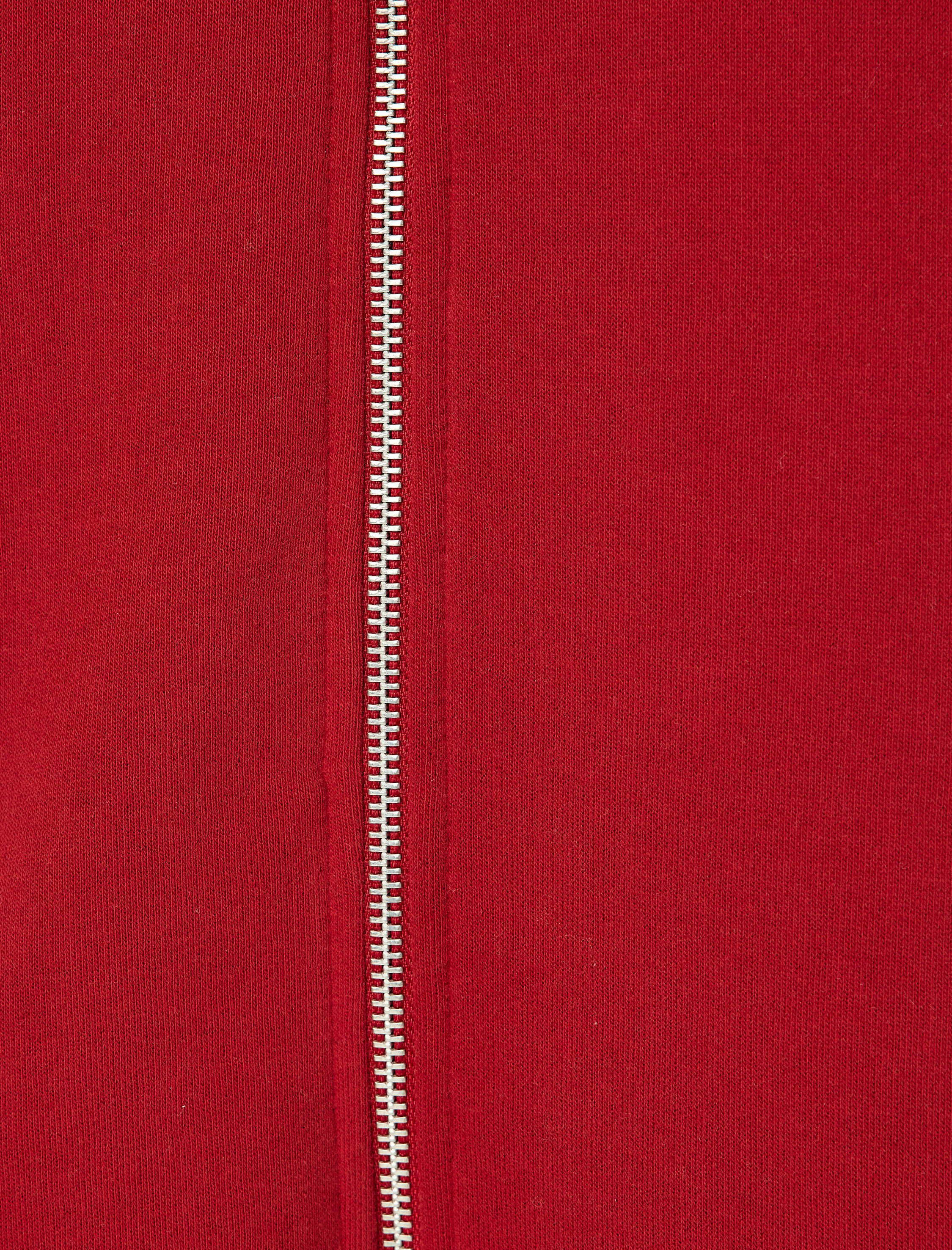   Dik Yaka Şardonlu Basic Fermuarlı Hırka