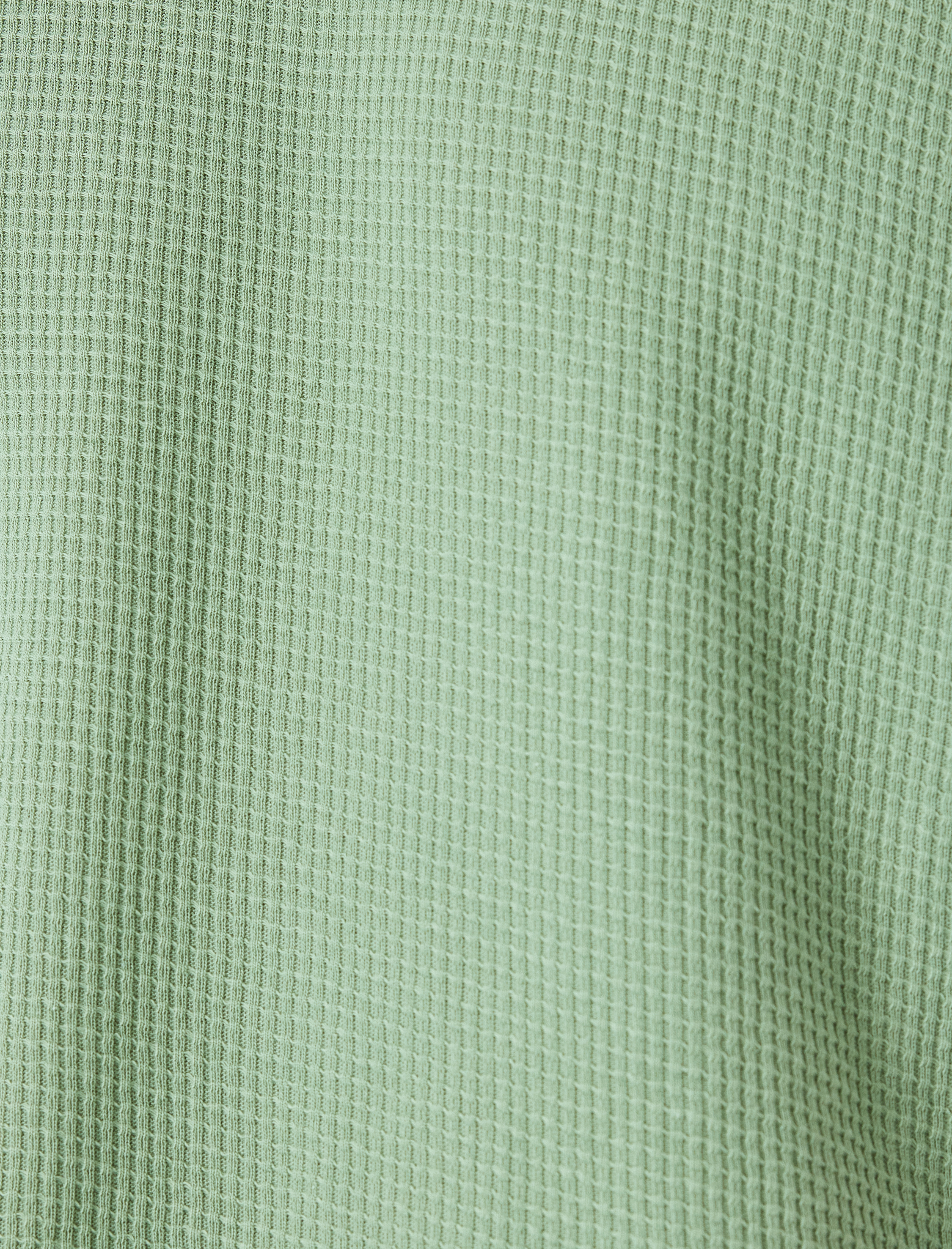   Etiket Detaylı Pamuklu Kısa Kollu Bisiklet Yaka Tişört