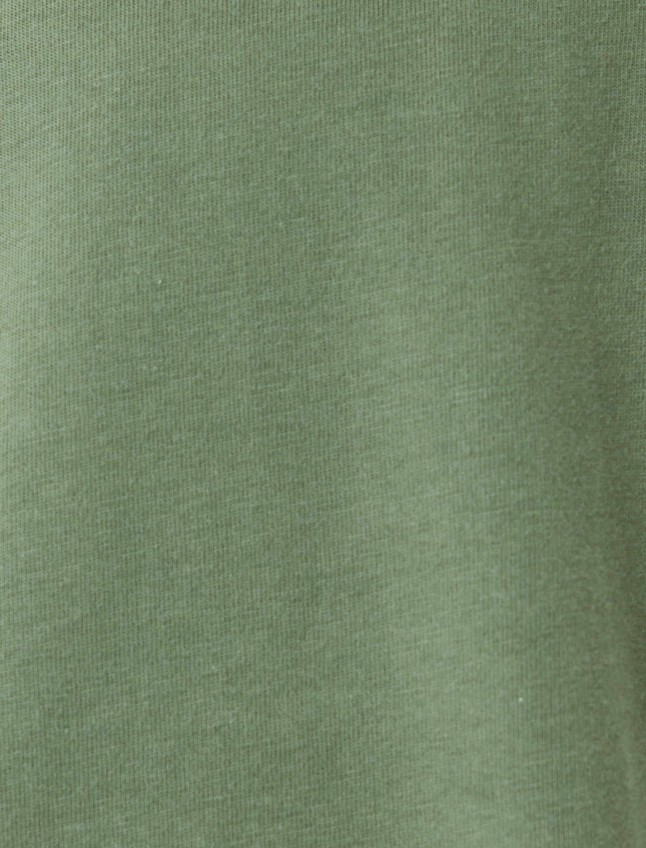   Pamuklu Bisiklet Yaka Regular Fit Kısa Kollu Basic Tişört