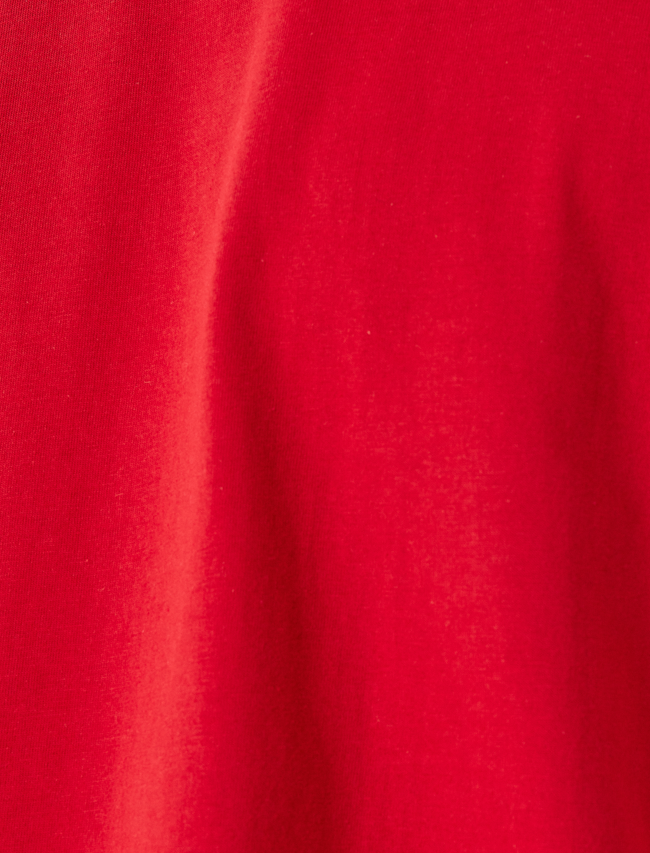   Pamuklu Bisiklet Yaka Regular Fit Kısa Kollu Basic Tişört