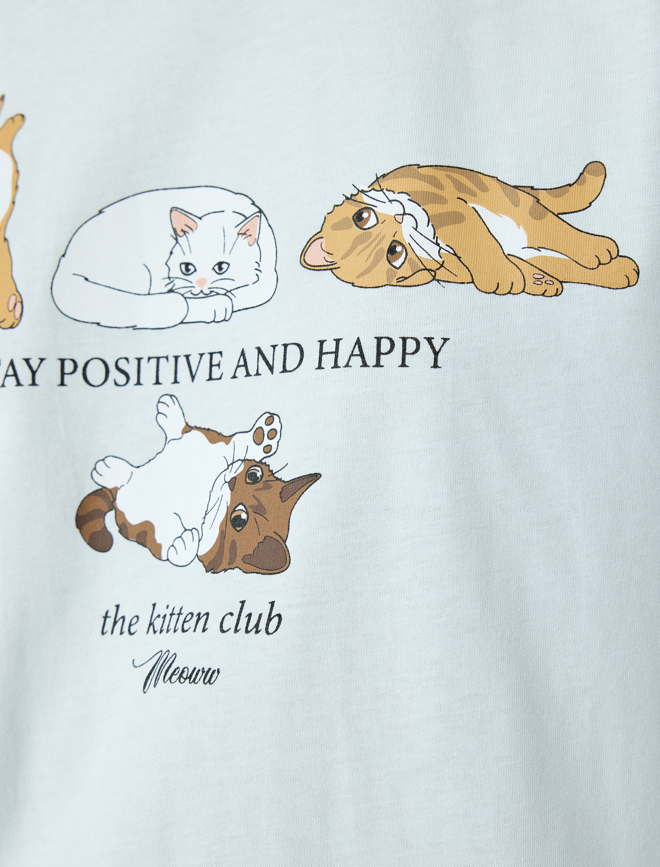   Kedi Baskılı Kısa Kollu Bisiklet Yaka Oversize Tişört