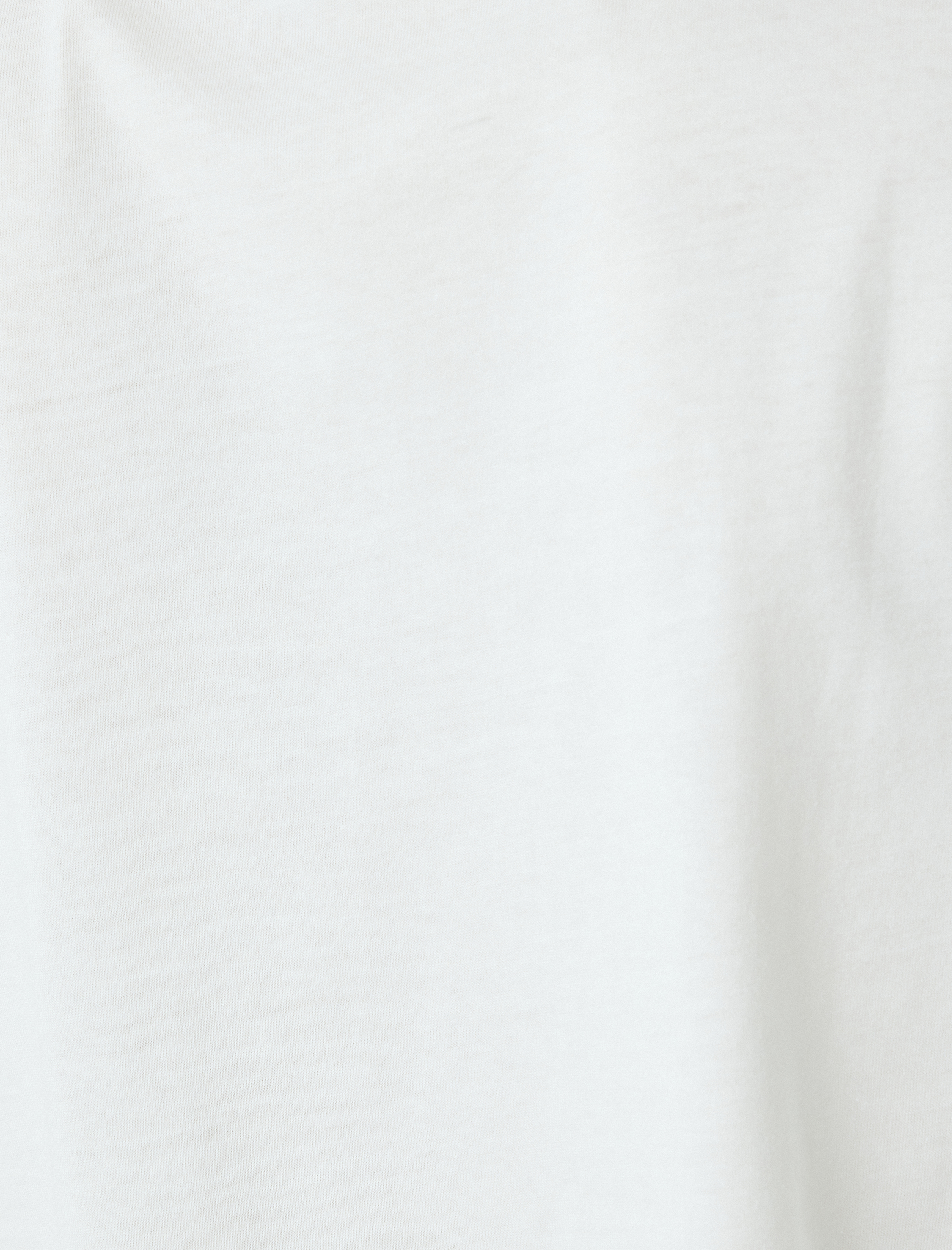   Ayı Baskılı Kısa Kollu Bisiklet Yaka Crop Tişört