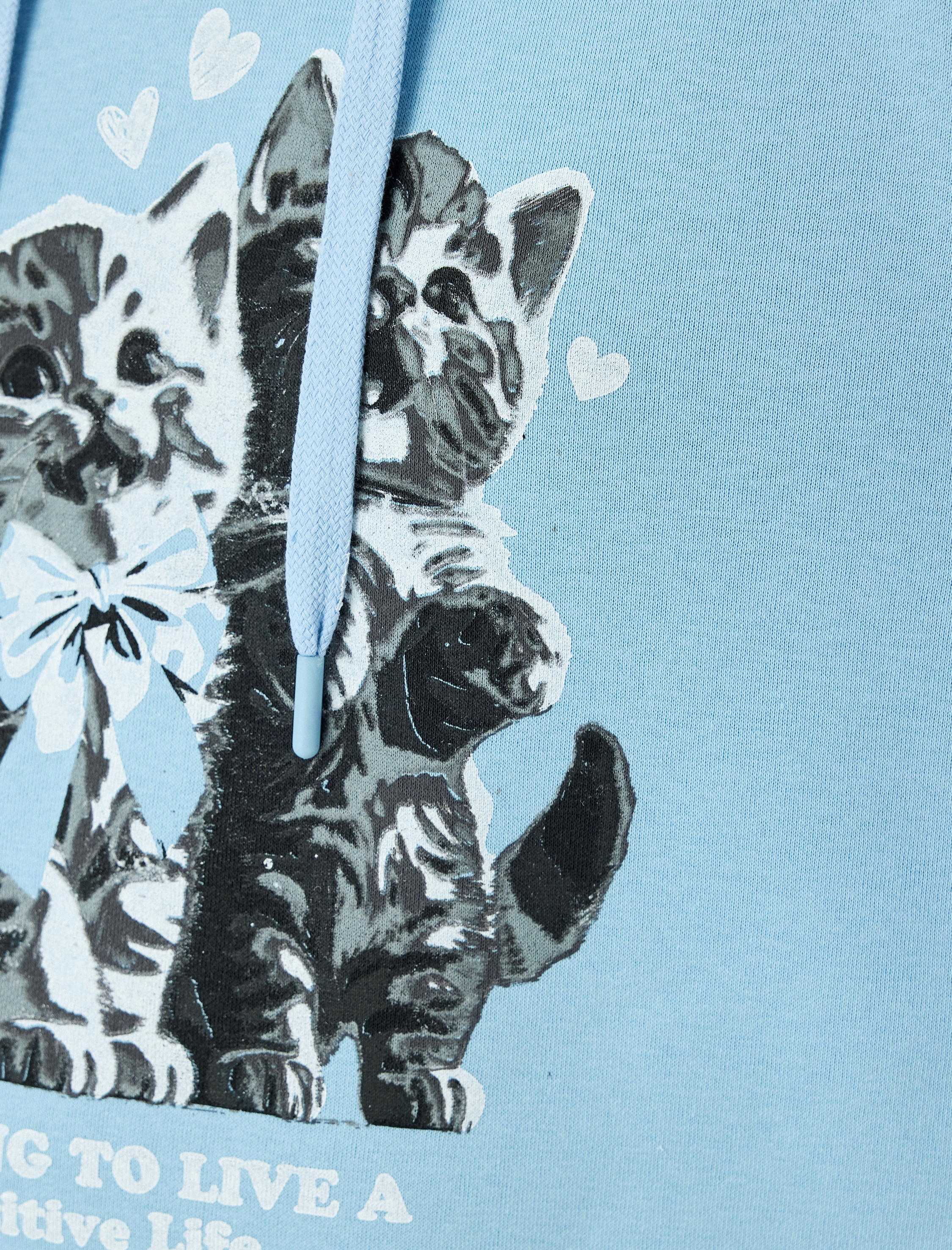   Şardonlu Kapüşonlu Kedi Baskılı Uzun Kollu Rahat Kalıp Sweatshirt