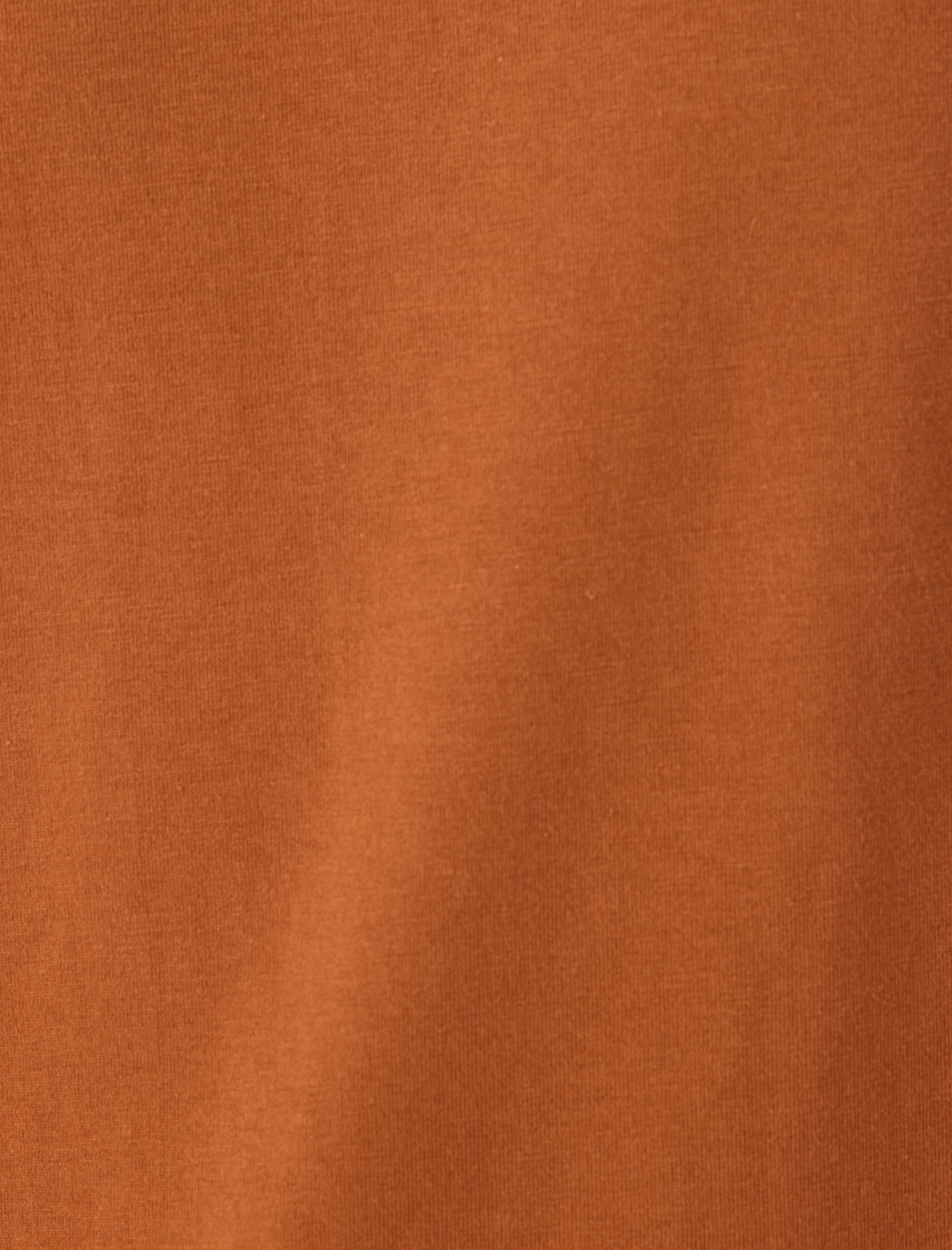   Bisiklet Yaka Regular Fit Pamuklu Kısa Kollu Slogan Baskılı Tişört