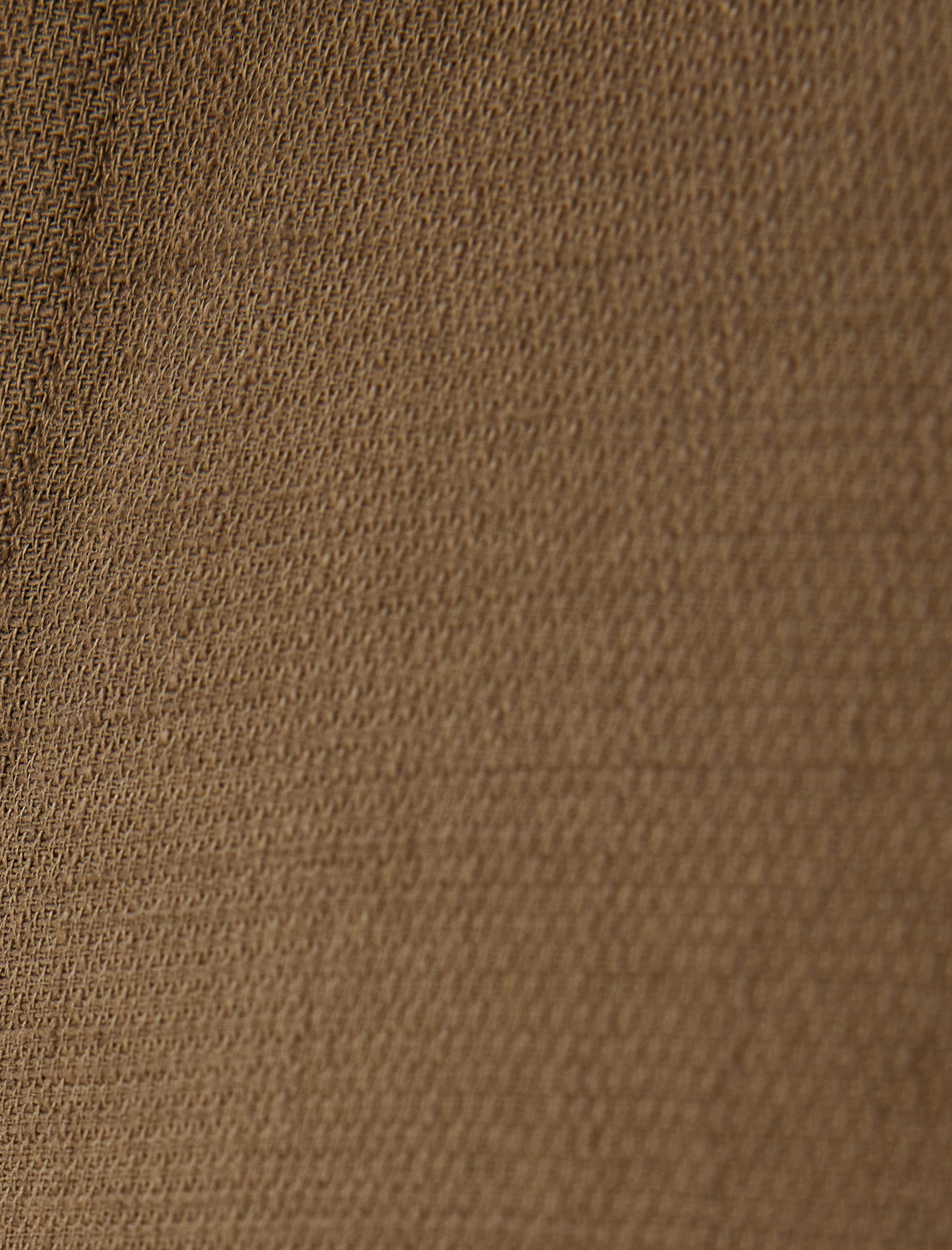   Pamuklu Düğmeli Regular Fit Kısa Kollu Gömlek