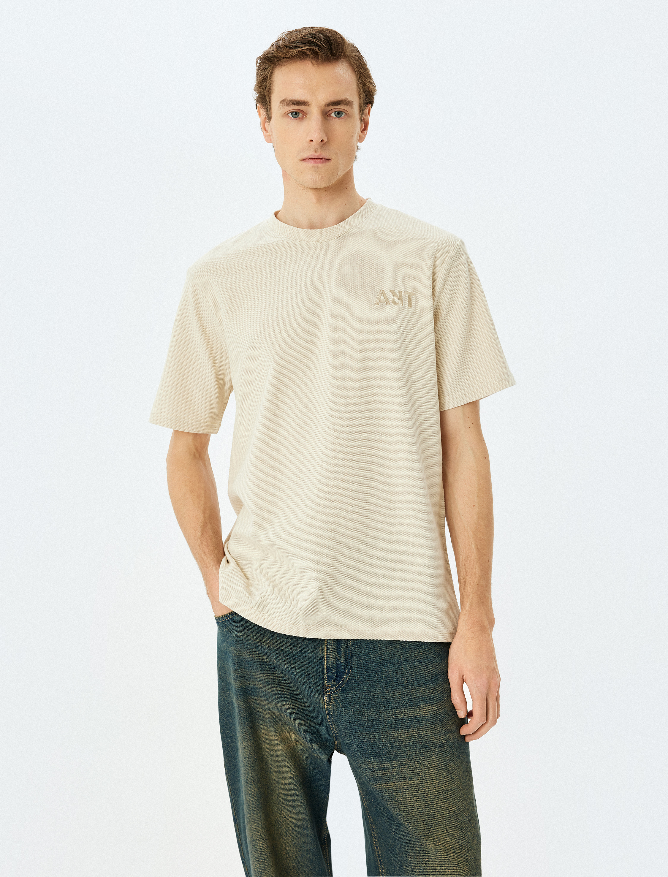   İşlemeli Pamuklu Tok Kumaş Regular Fit Bisiklet Yaka Kısa Kollu Tişört