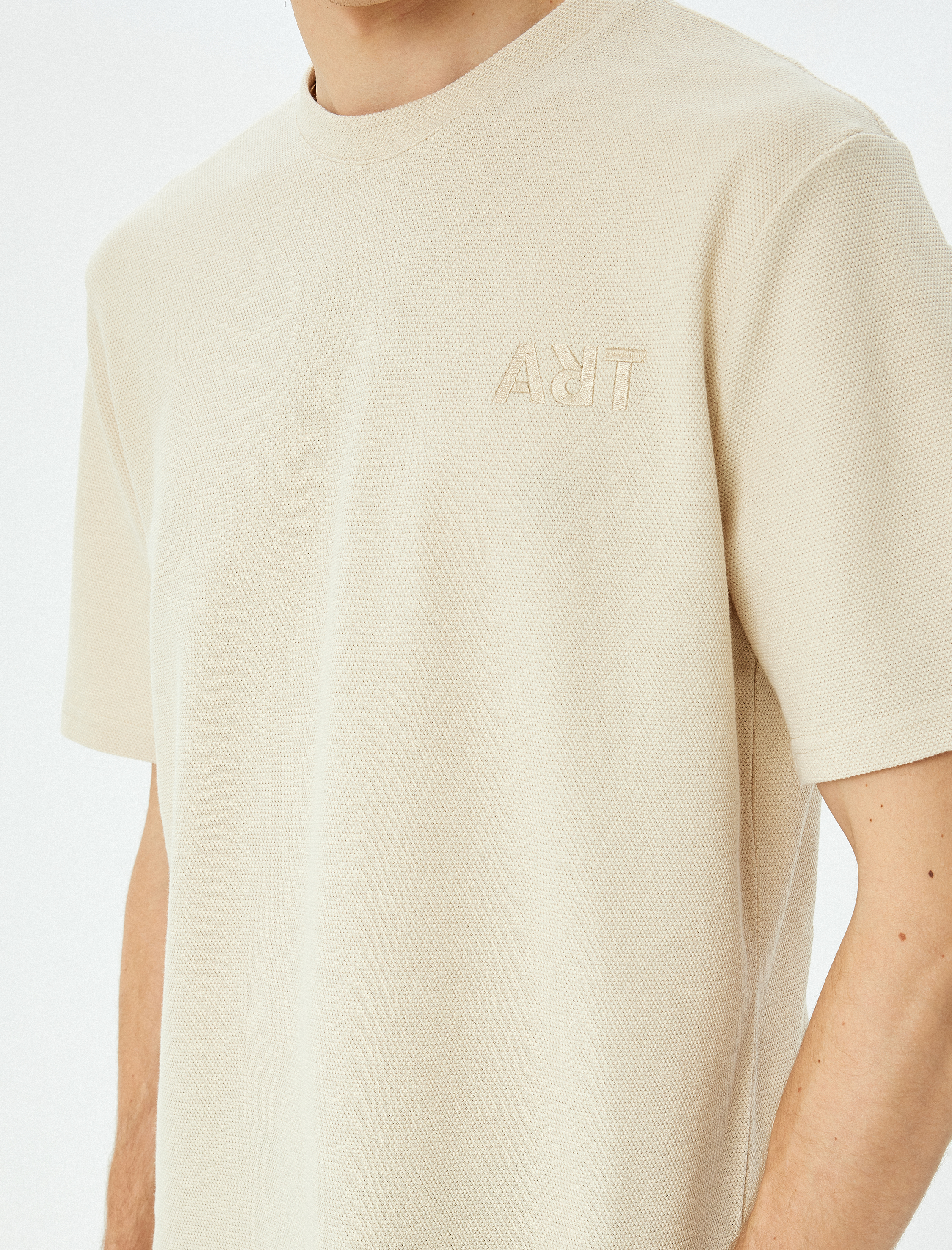   İşlemeli Pamuklu Tok Kumaş Regular Fit Bisiklet Yaka Kısa Kollu Tişört