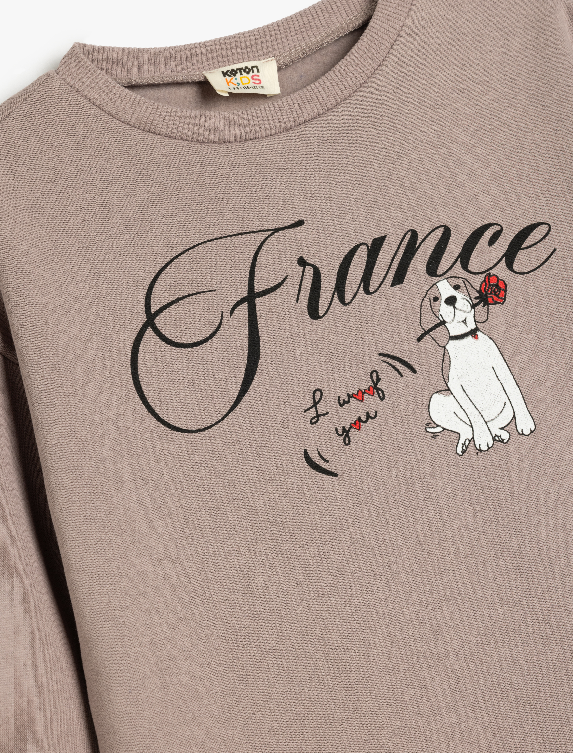  Kız Çocuk Köpek Baskılı Bisiklet Yaka Uzun Kollu Pamuklu Şardonlu Sweatshirt