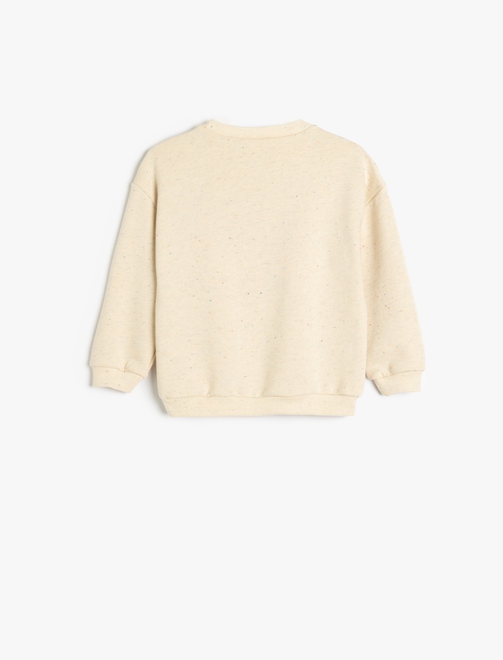 Erkek Bebek Nakış Detaylı Uzun Kollu Bisiklet Yaka Pamuklu Sweatshirt