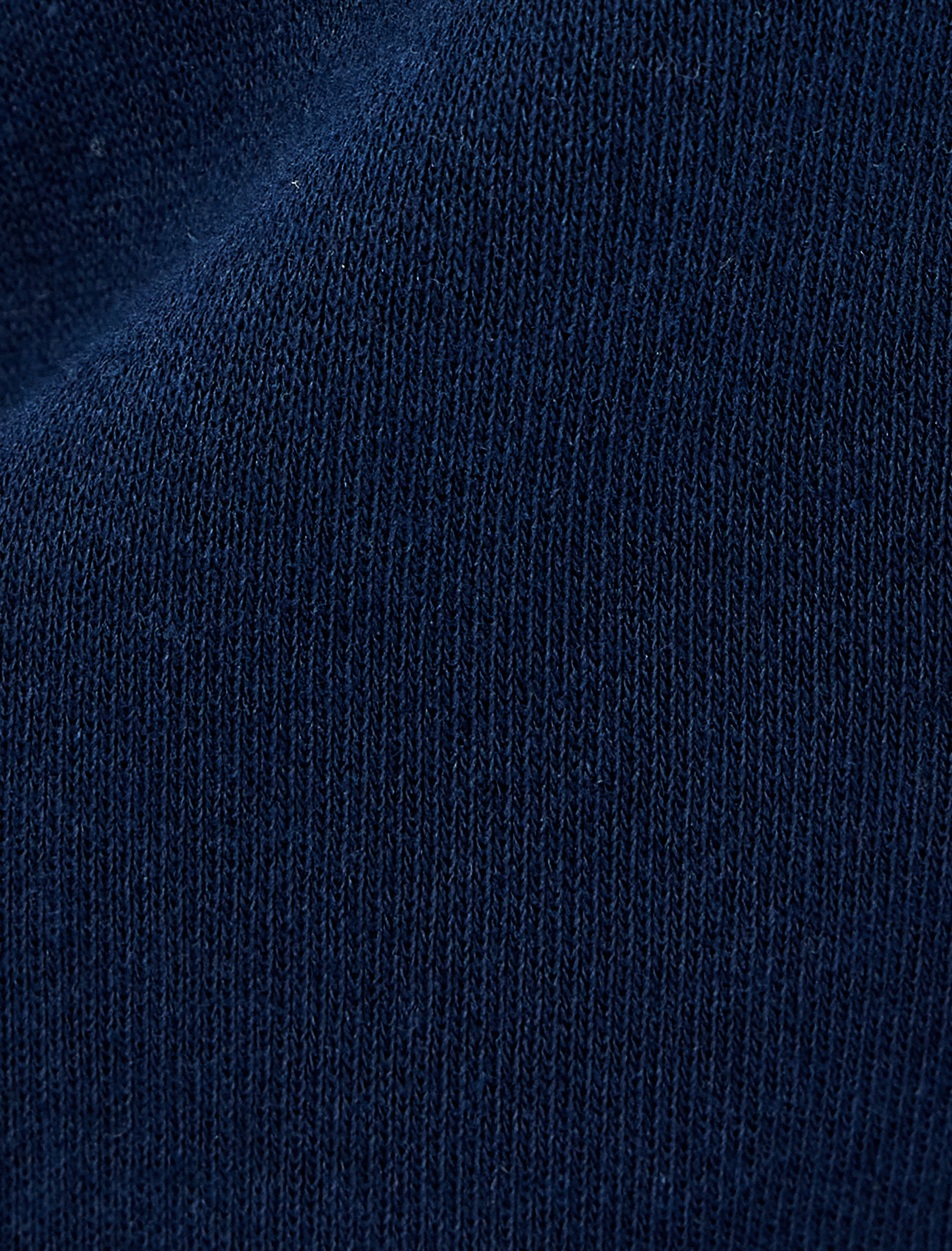   Şardonlu Yarım Fermuarlı Baskı Detaylı Uzun Kollu Polo Yaka Crop Sweatshirt